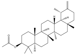 Pharmaceuticals 18 01353 i092 Pharmaceuticals 18 01353 i092