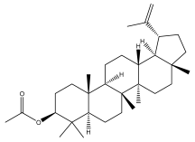 Pharmaceuticals 18 01353 i100 Pharmaceuticals 18 01353 i100