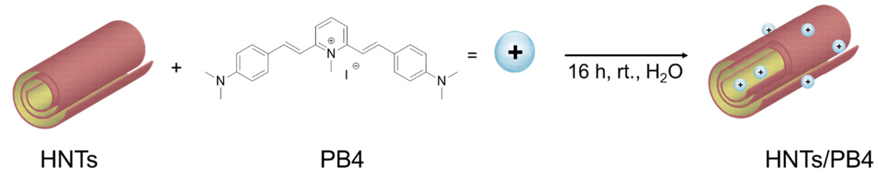 Pharmaceuticals 18 01356 sch001