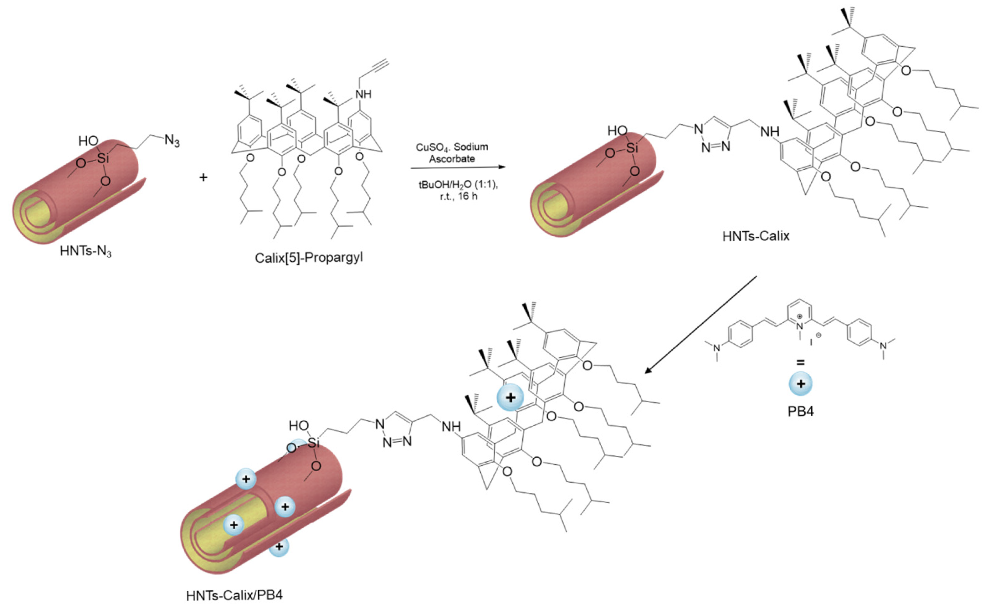 Pharmaceuticals 18 01356 sch002
