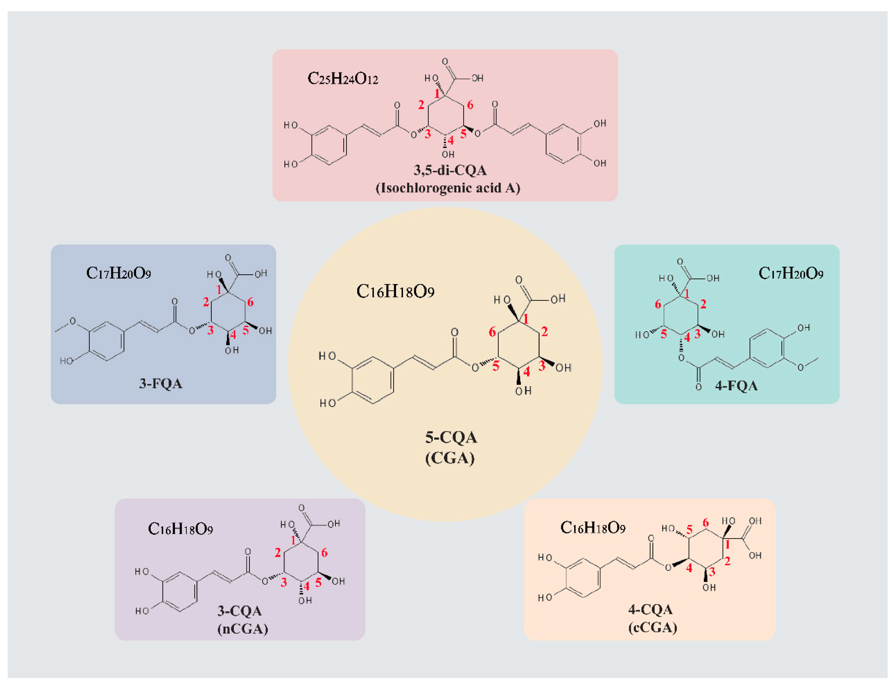 Pharmaceuticals 18 01357 g001 Pharmaceuticals 18 01357 g001