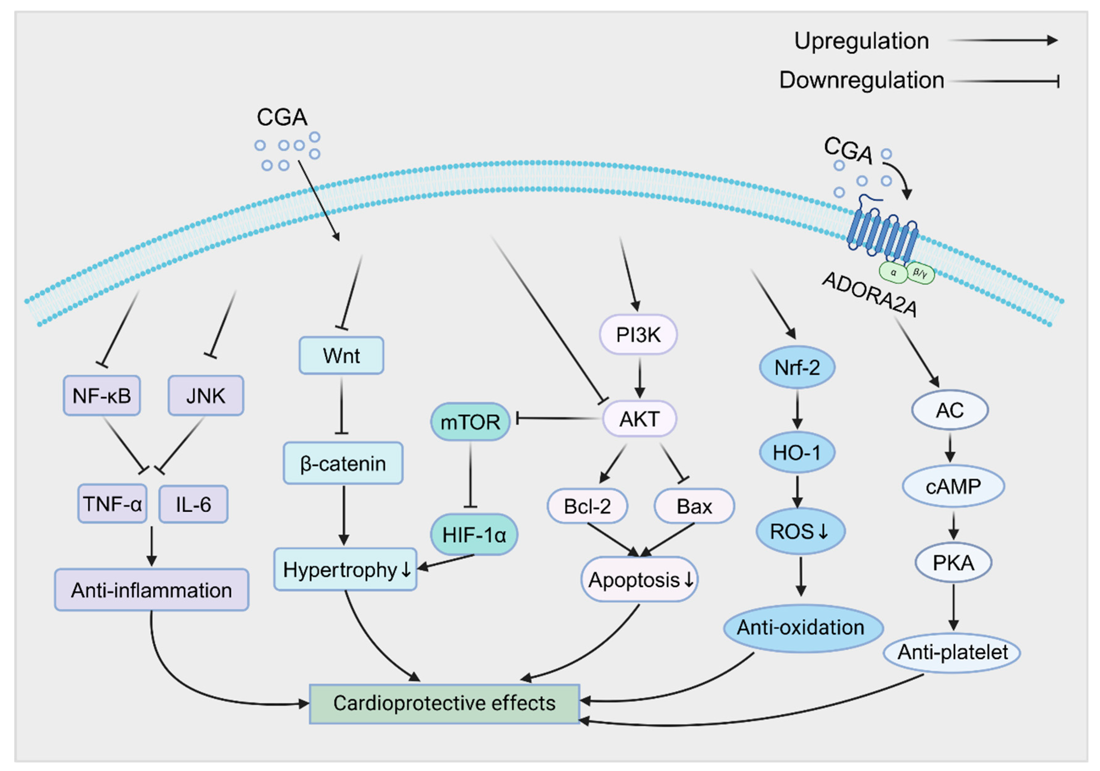 Pharmaceuticals 18 01357 g003 Pharmaceuticals 18 01357 g003