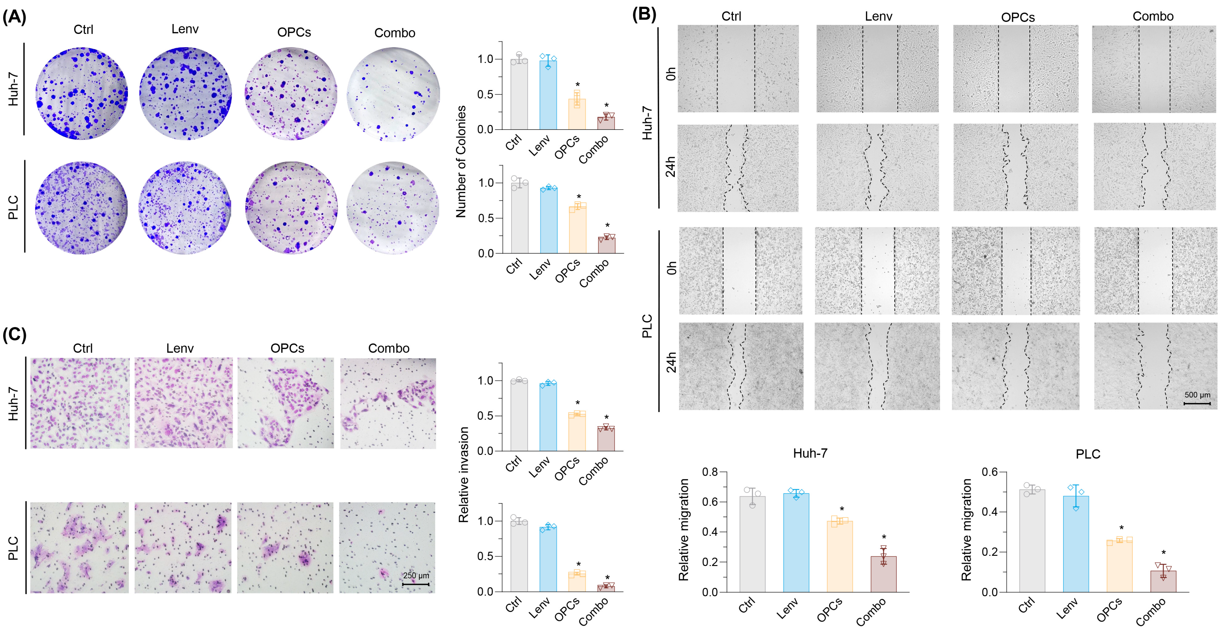 Pharmaceuticals 18 01361 g002 Pharmaceuticals 18 01361 g002