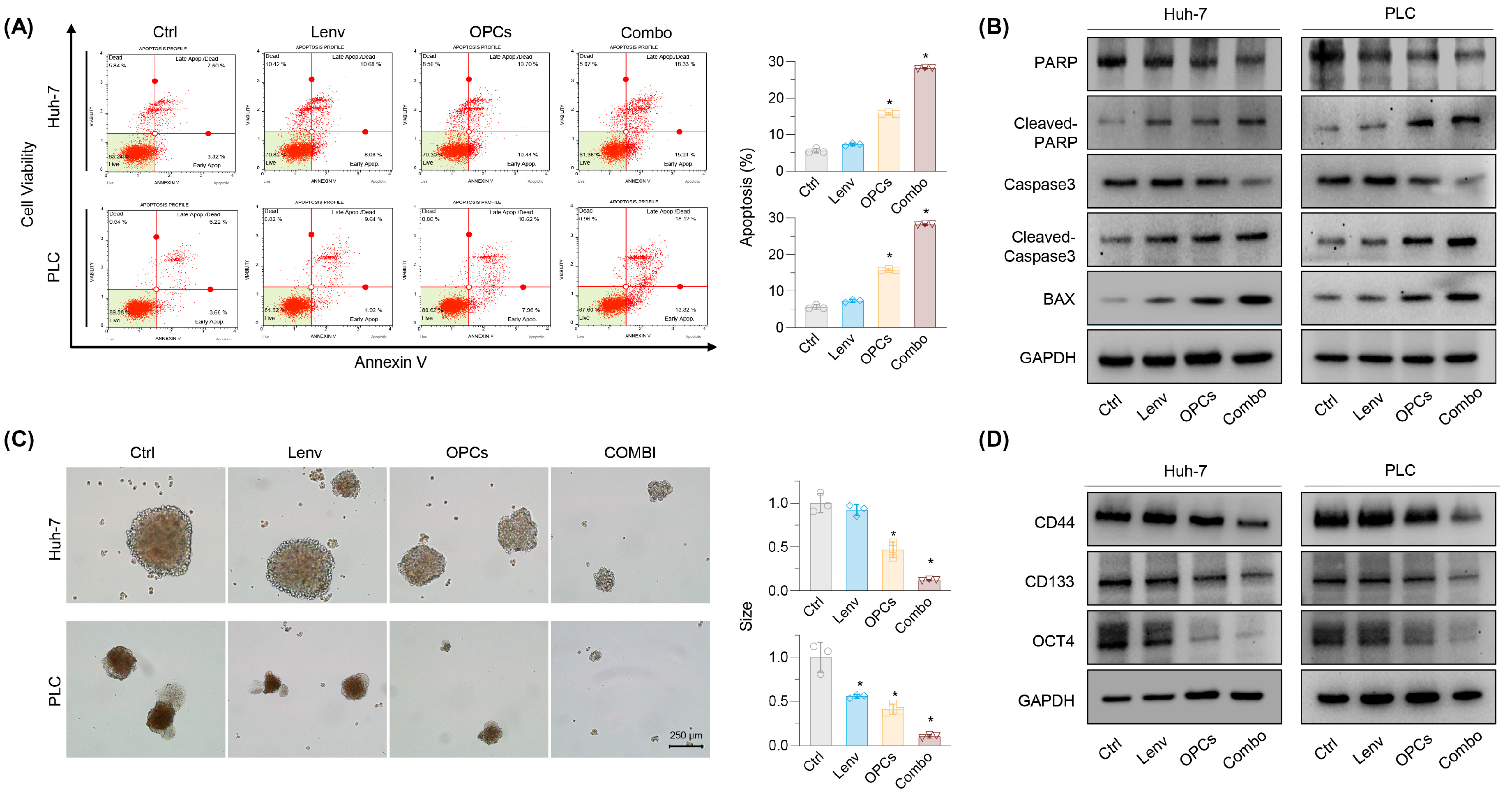 Pharmaceuticals 18 01361 g003 Pharmaceuticals 18 01361 g003