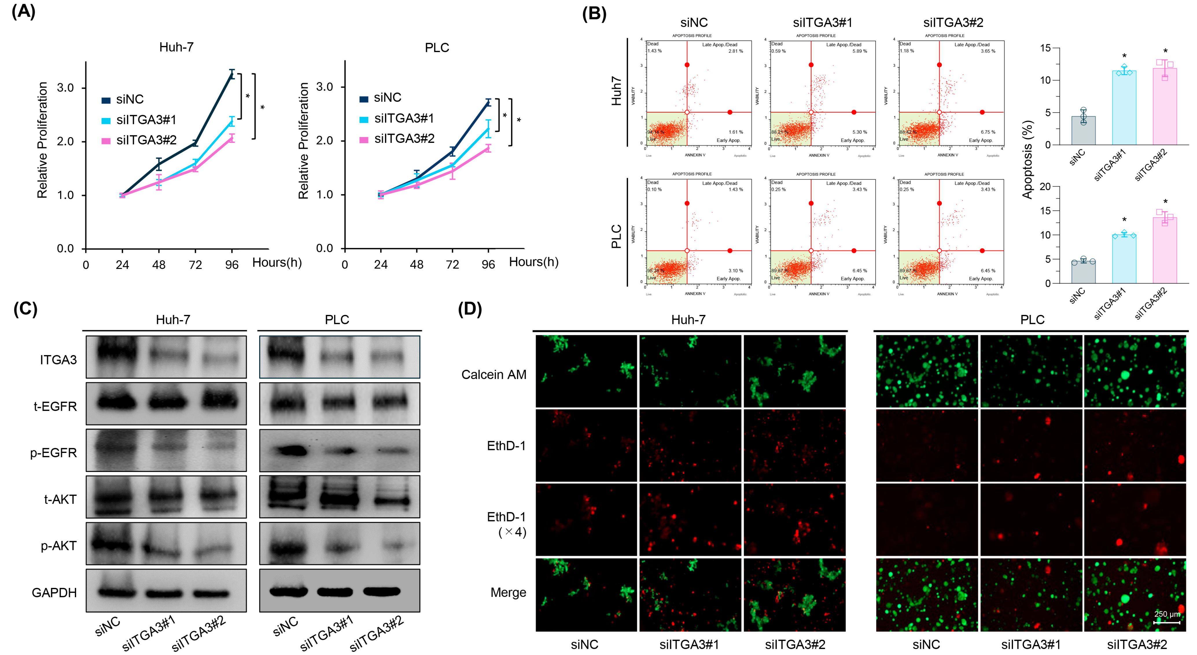Pharmaceuticals 18 01361 g005 Pharmaceuticals 18 01361 g005