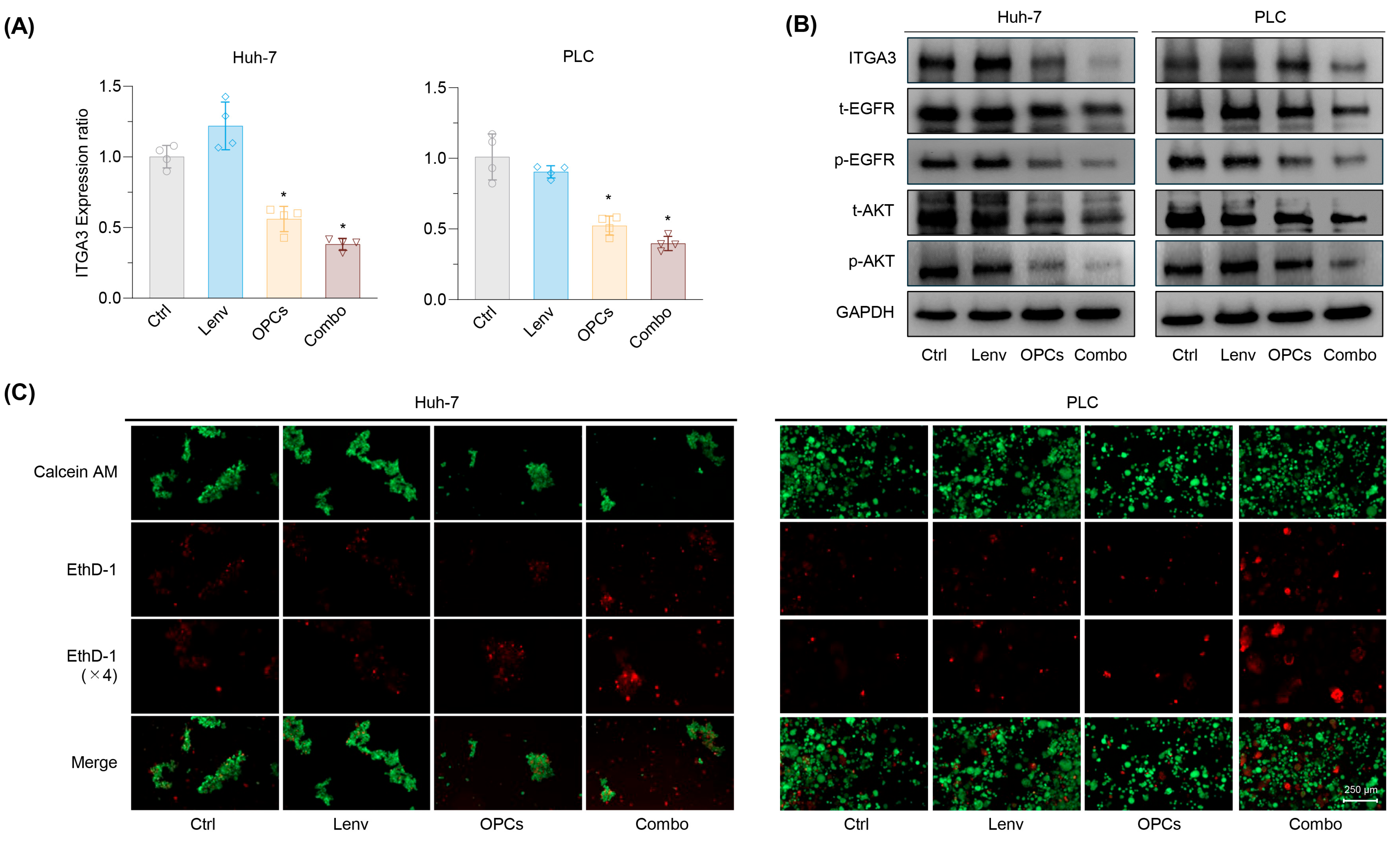 Pharmaceuticals 18 01361 g006 Pharmaceuticals 18 01361 g006