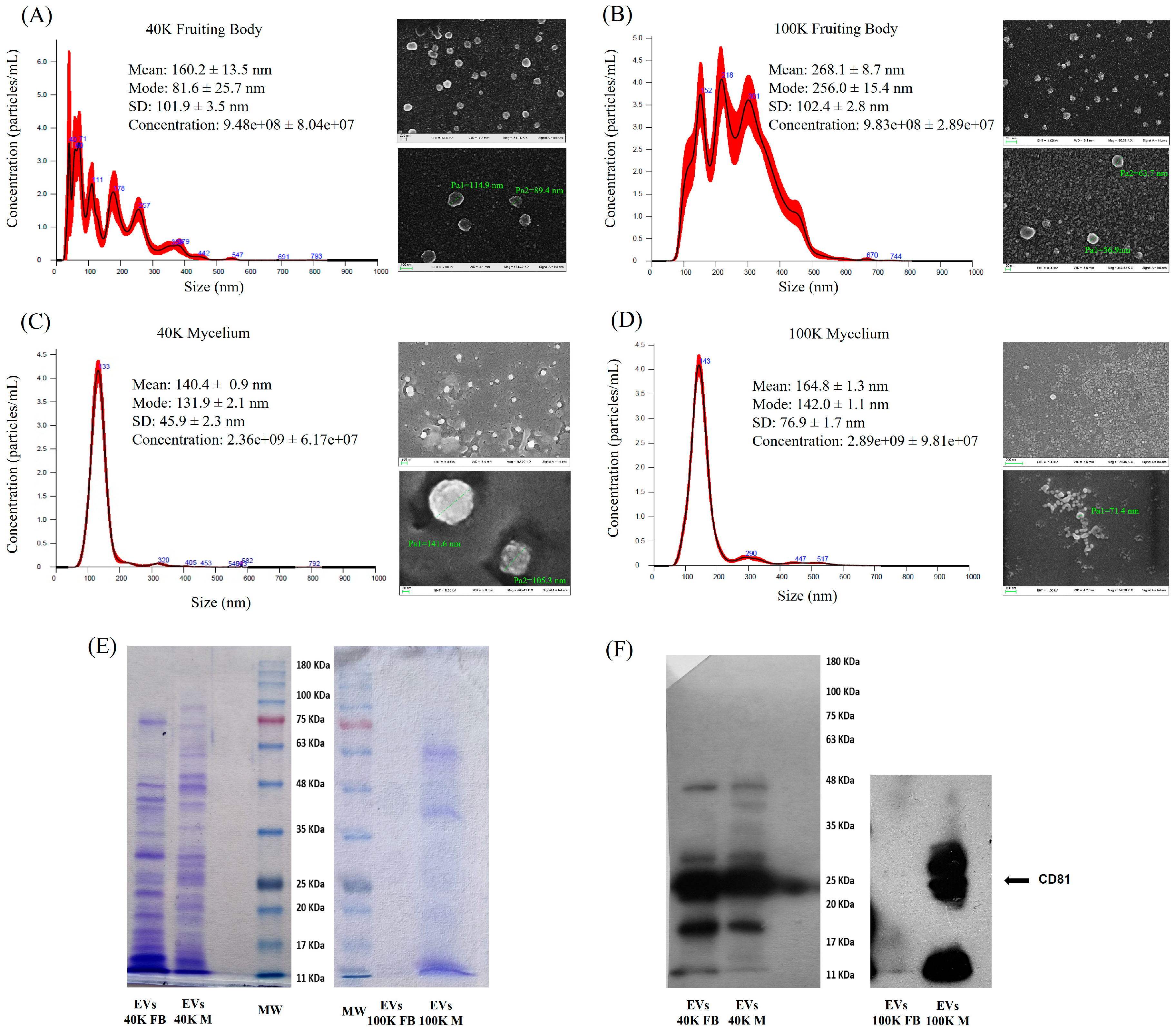 Pharmaceuticals 18 01362 g001