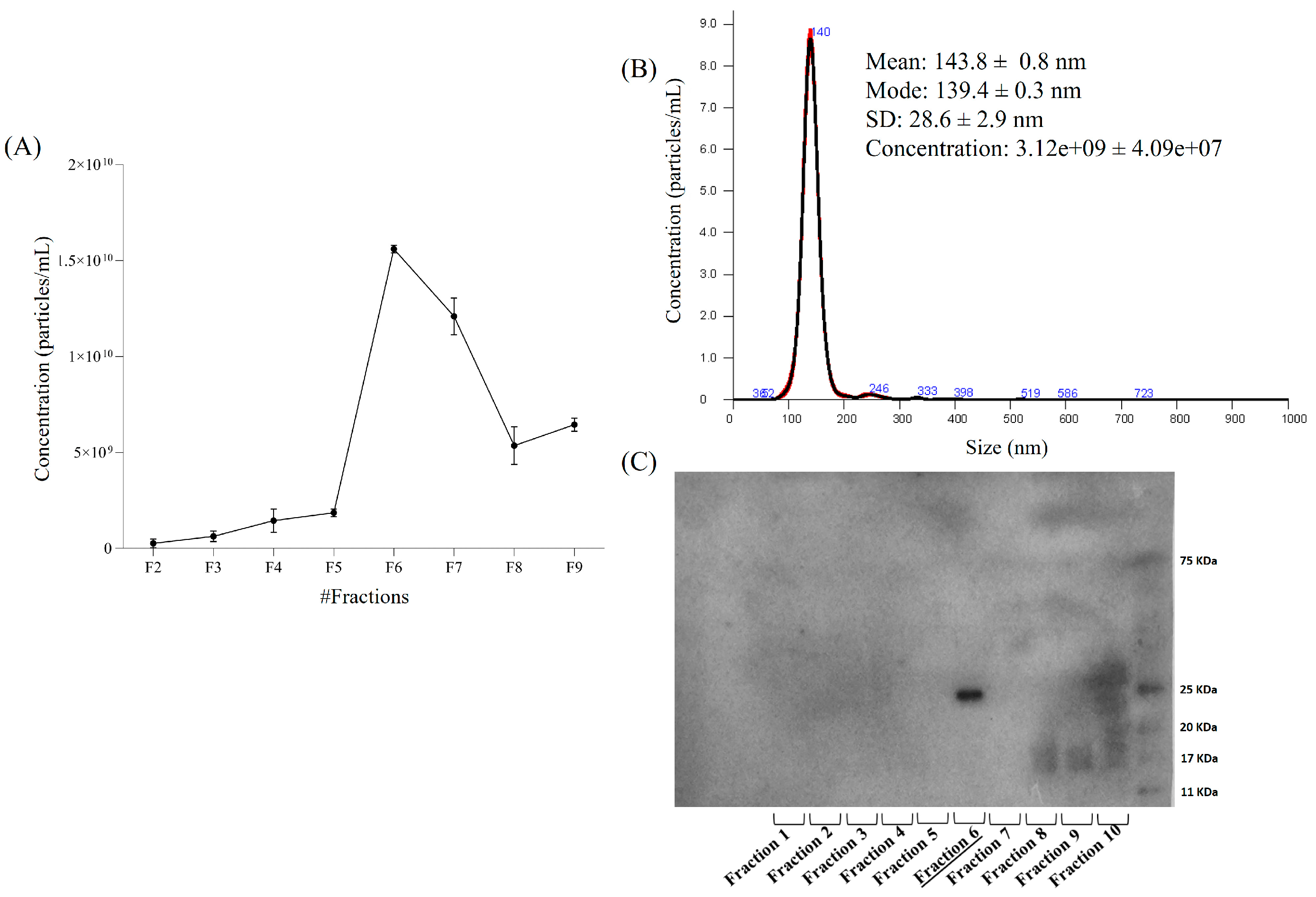 Pharmaceuticals 18 01362 g002