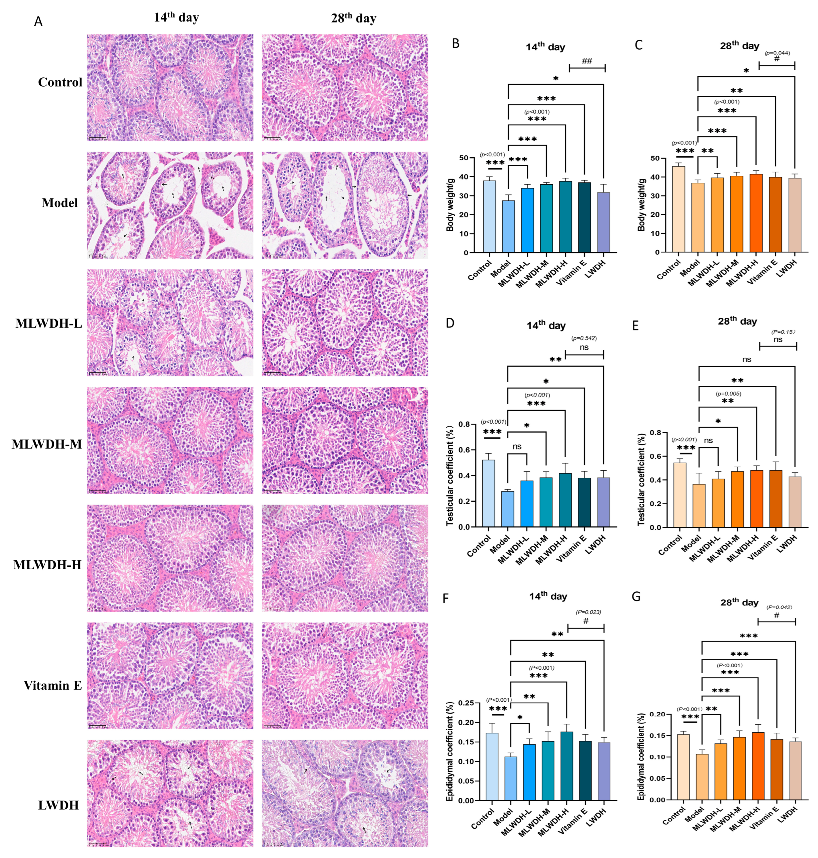 Pharmaceuticals 18 01363 g003 Pharmaceuticals 18 01363 g003