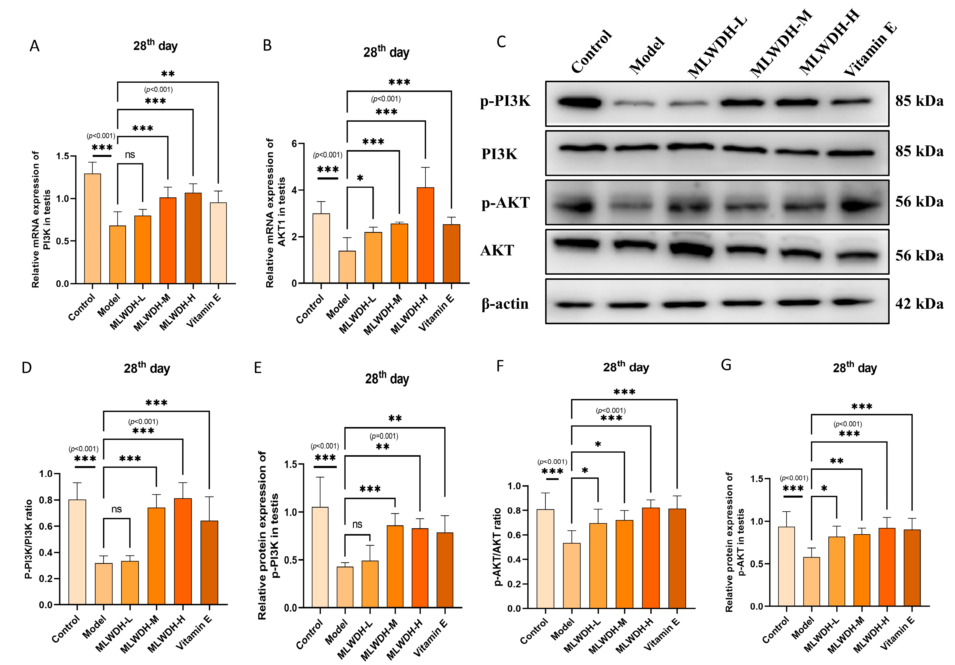 Pharmaceuticals 18 01363 g008a Pharmaceuticals 18 01363 g008a