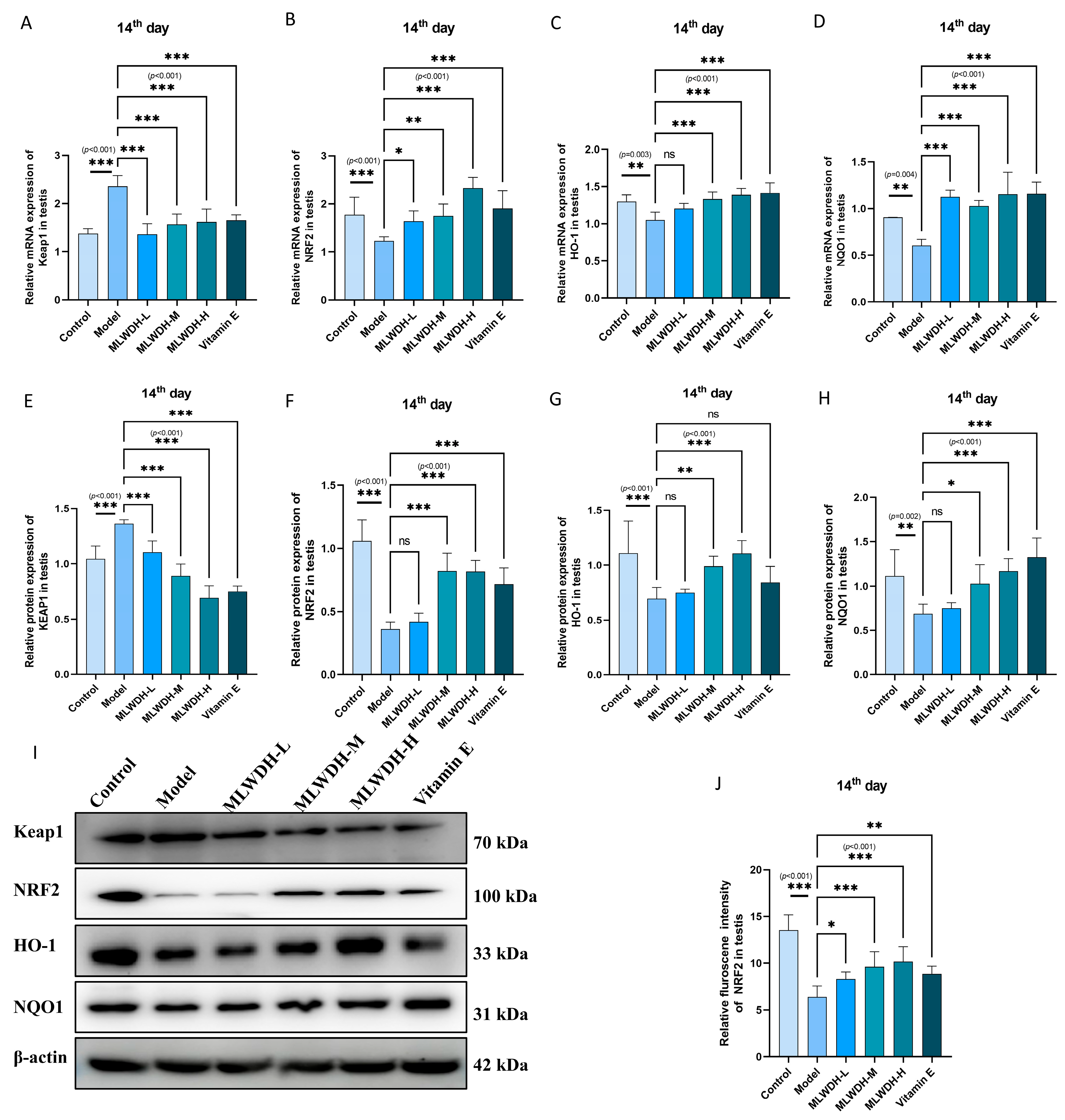 Pharmaceuticals 18 01363 g009a Pharmaceuticals 18 01363 g009a
