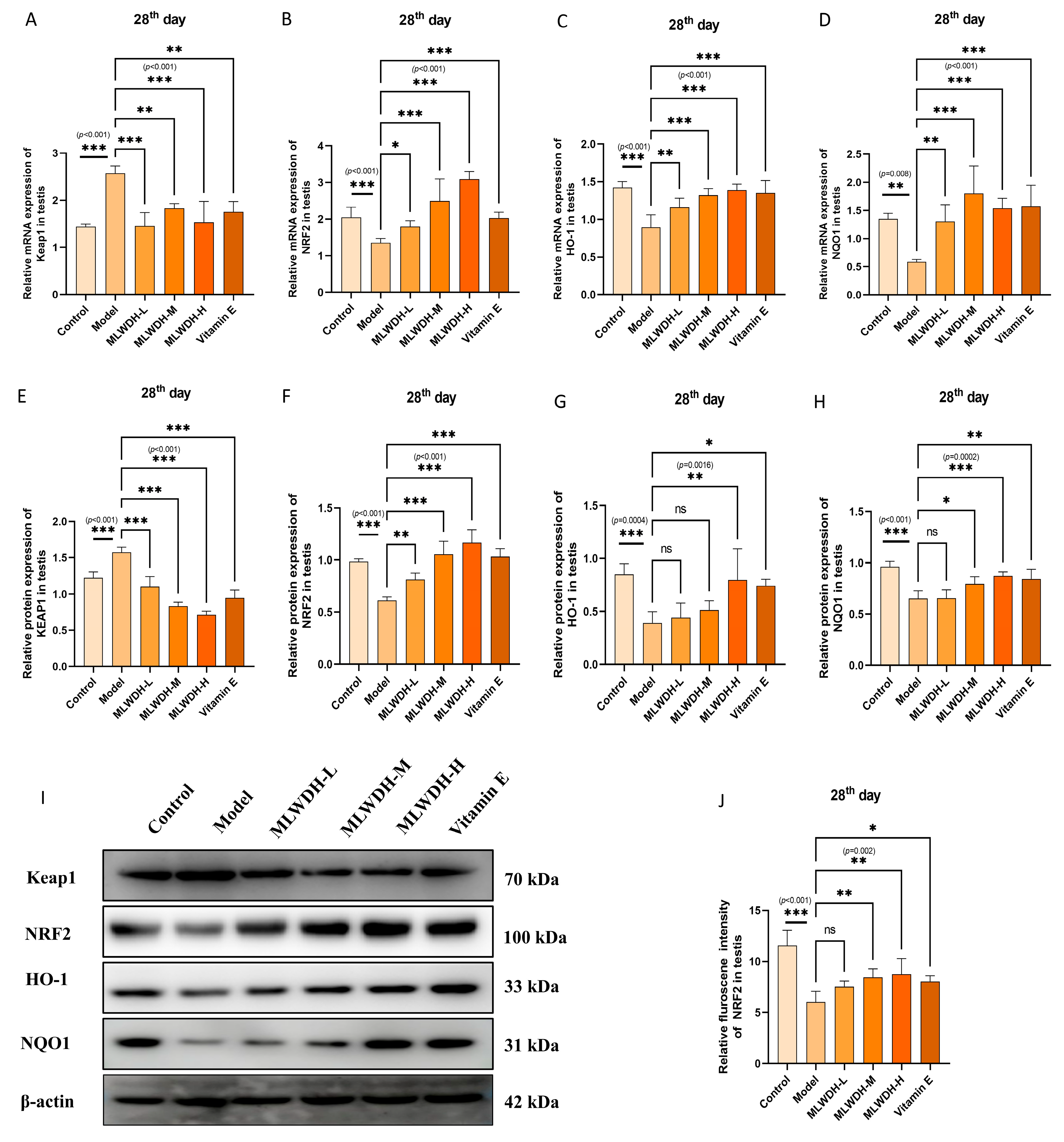 Pharmaceuticals 18 01363 g010a Pharmaceuticals 18 01363 g010a