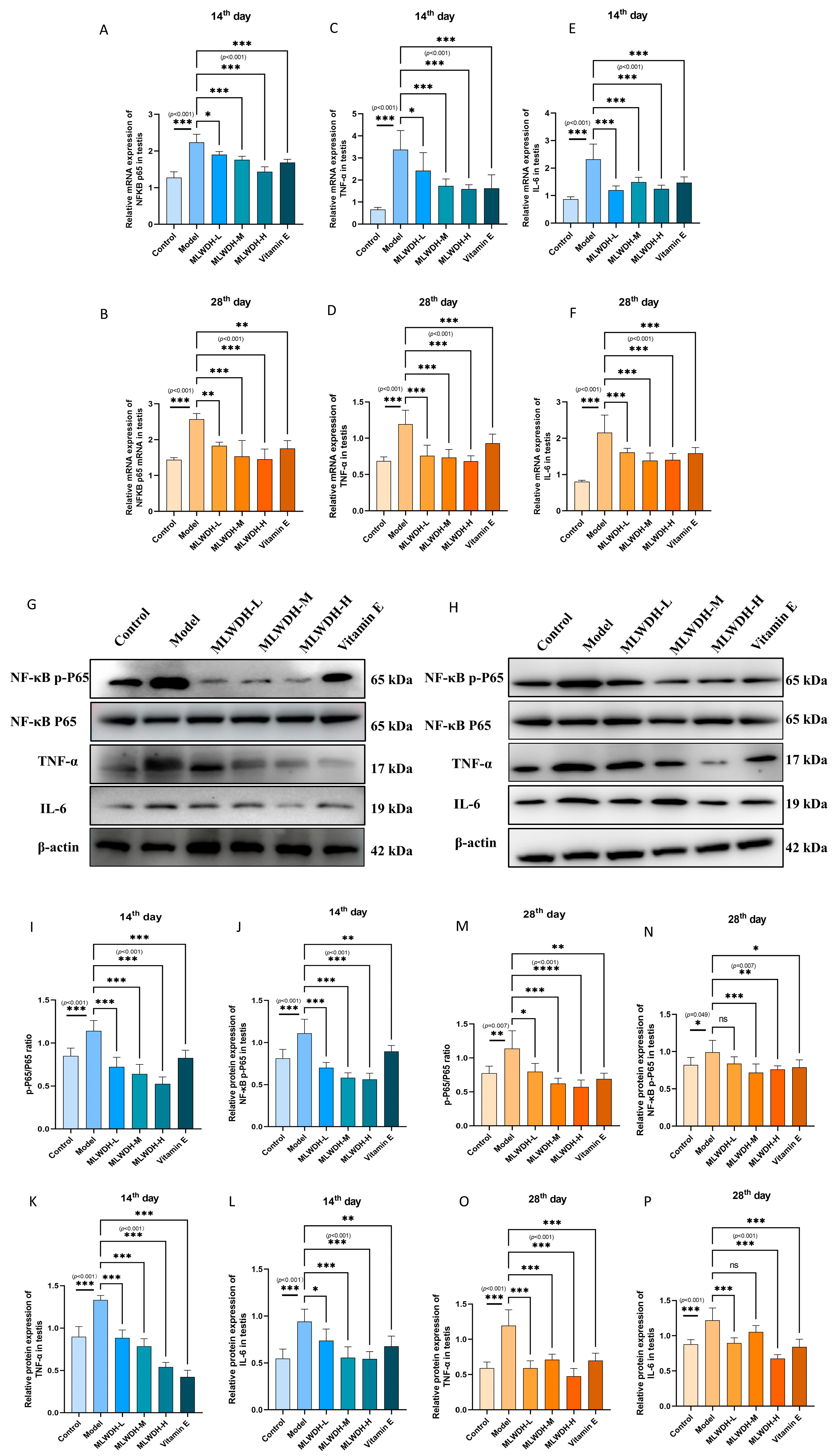 Pharmaceuticals 18 01363 g011 Pharmaceuticals 18 01363 g011