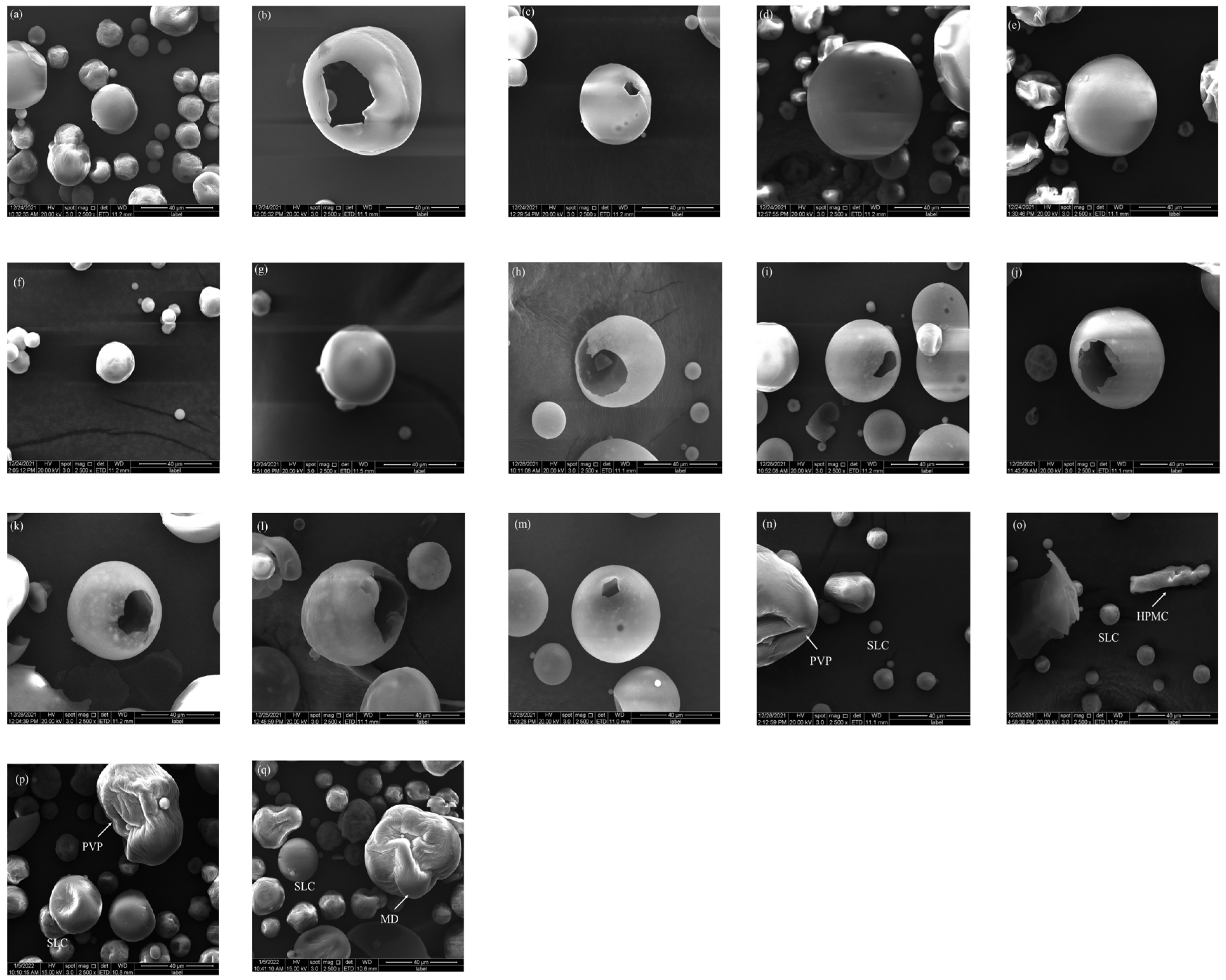 Pharmaceuticals 18 01369 g001 Pharmaceuticals 18 01369 g001