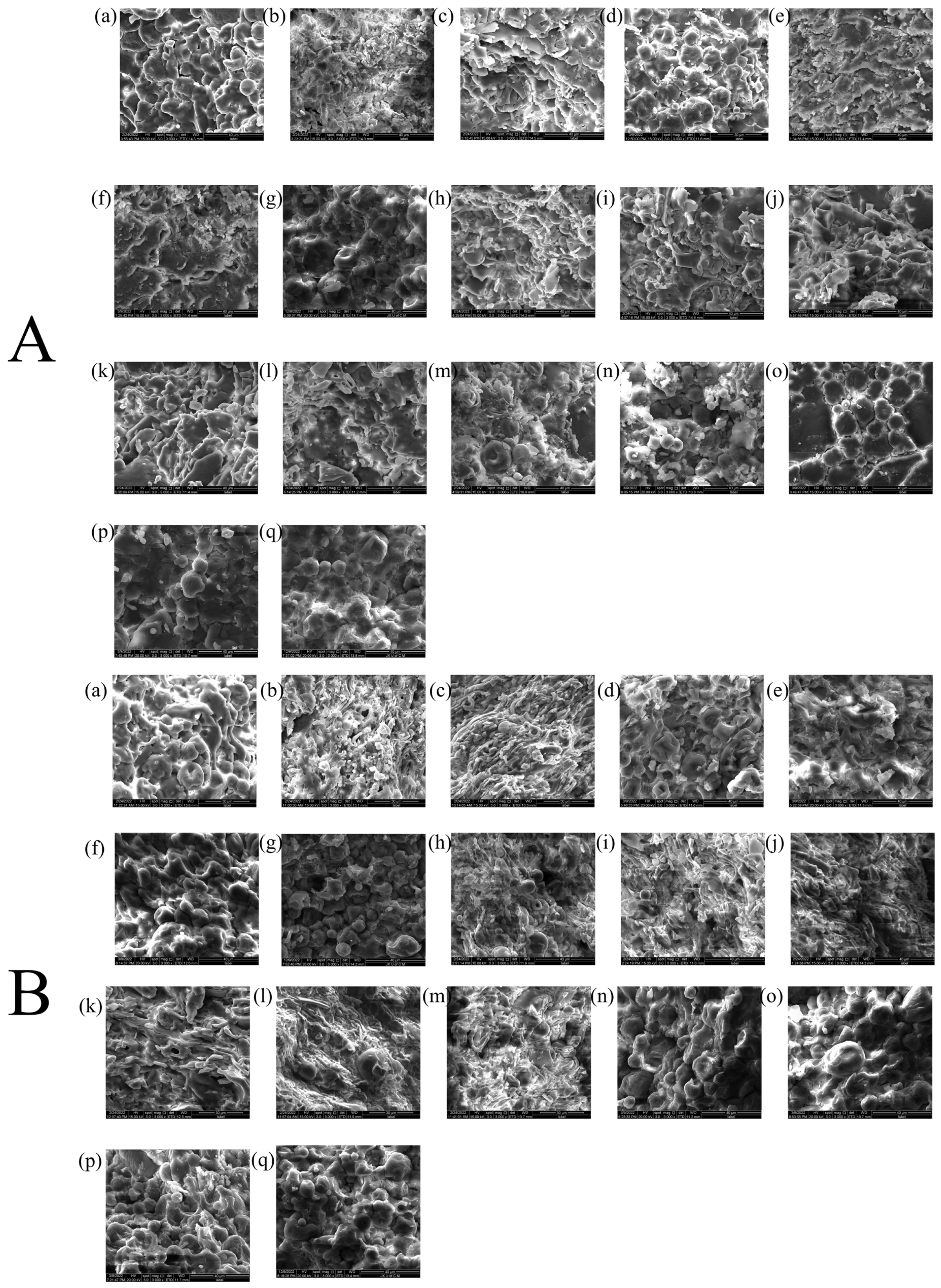 Pharmaceuticals 18 01369 g006 Pharmaceuticals 18 01369 g006
