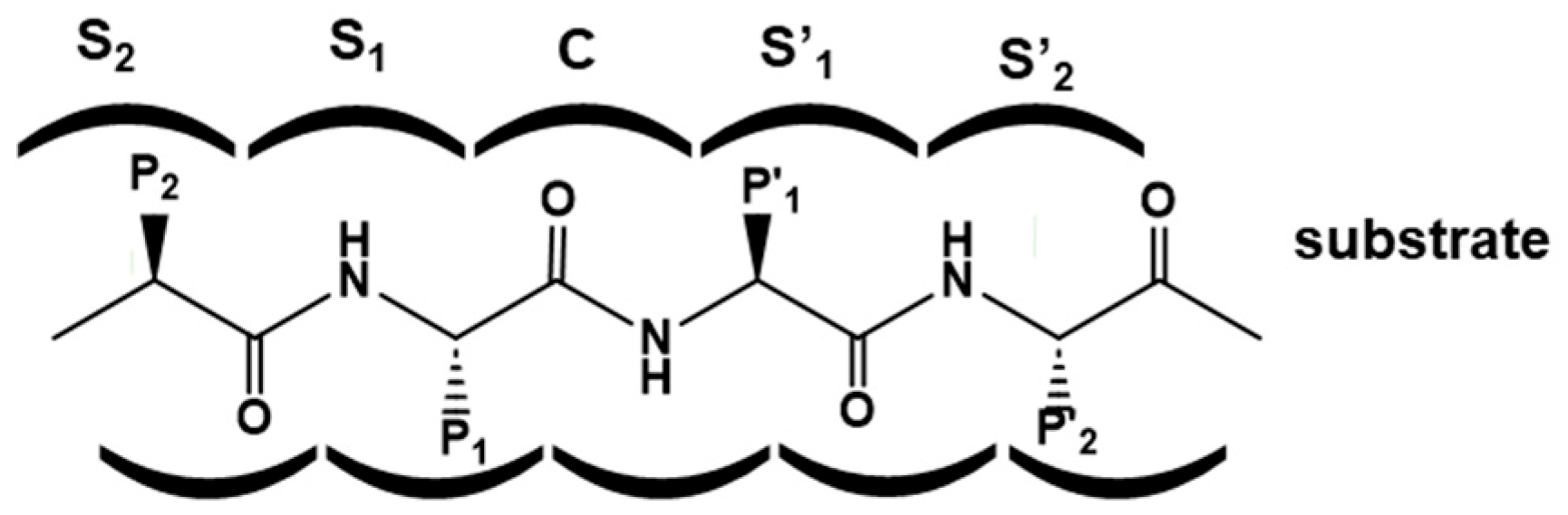 Pharmaceuticals 18 01377 g001