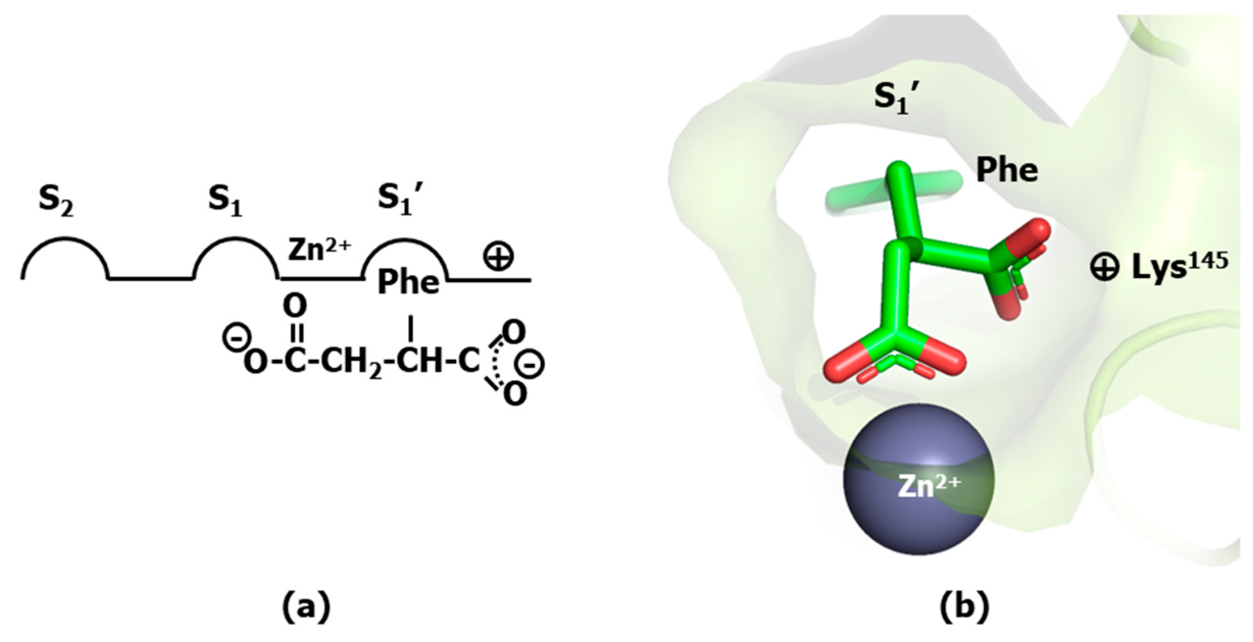 Pharmaceuticals 18 01377 g003