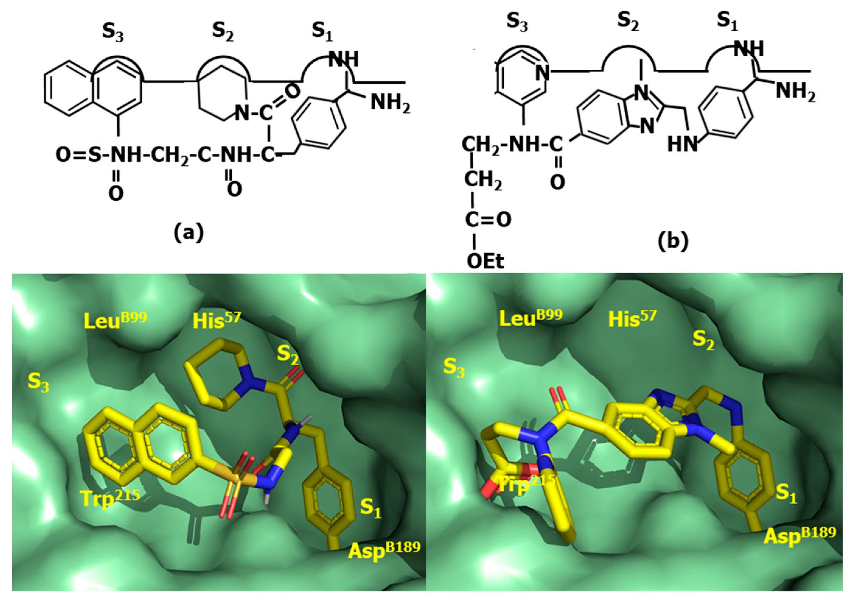 Pharmaceuticals 18 01377 g019