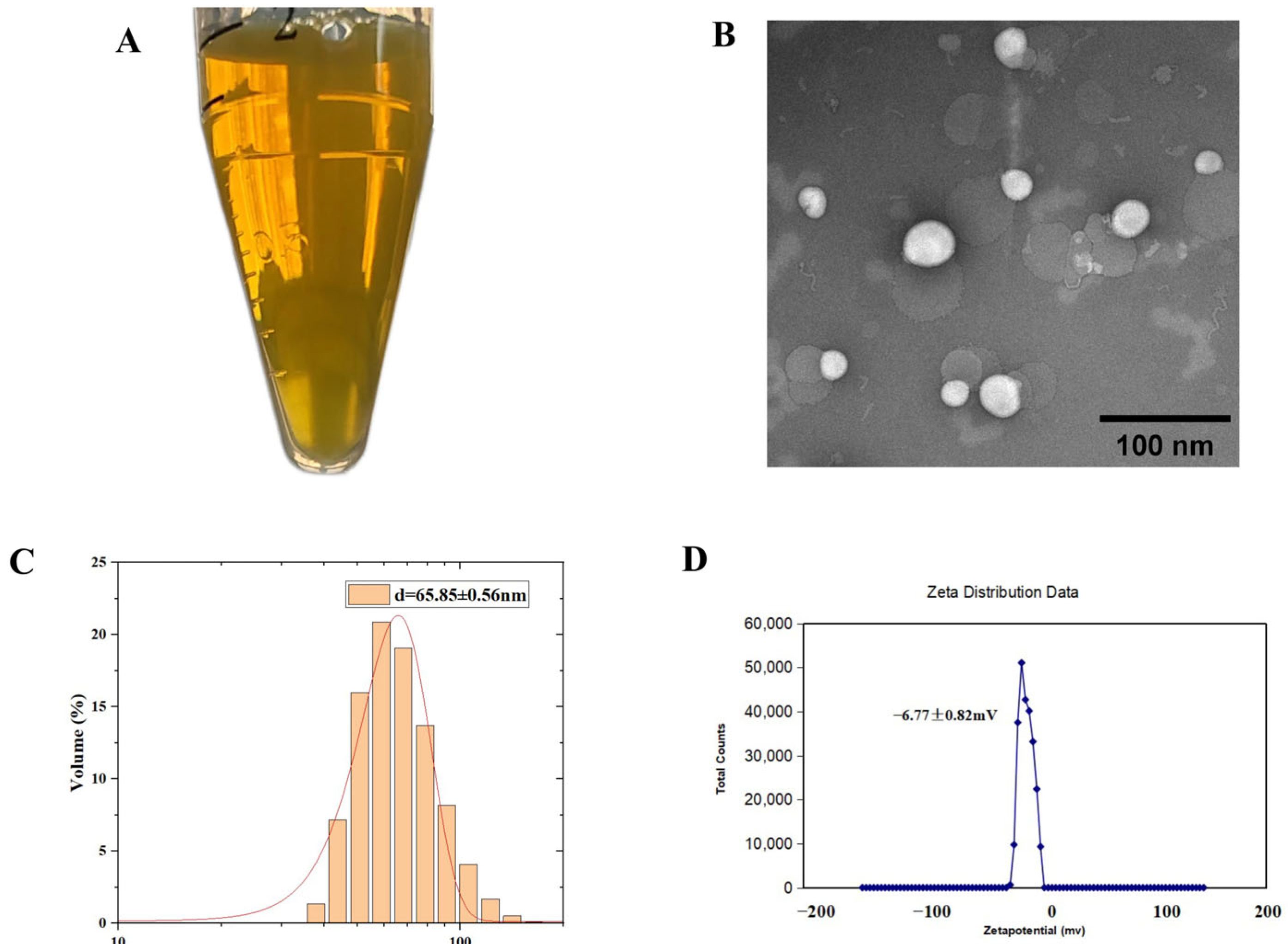 Pharmaceuticals 18 01381 g001
