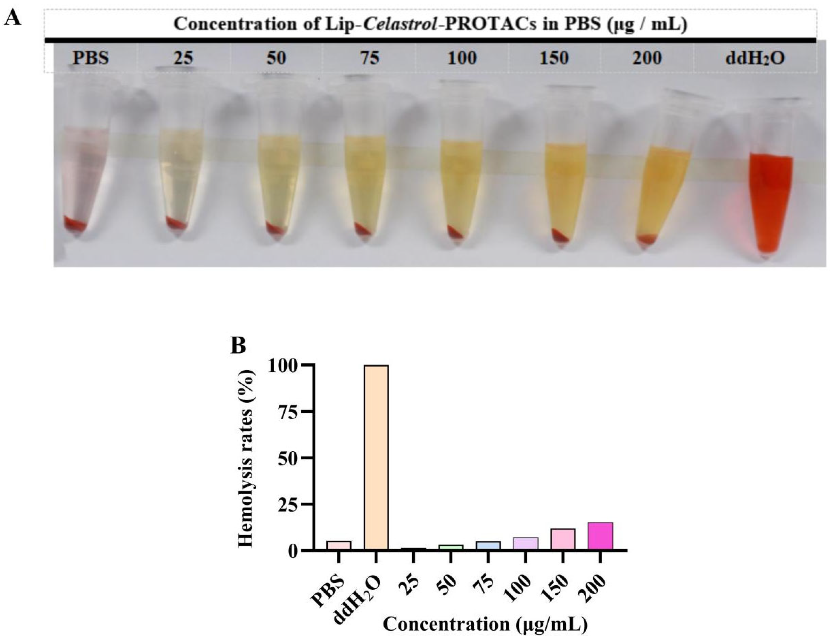 Pharmaceuticals 18 01381 g002