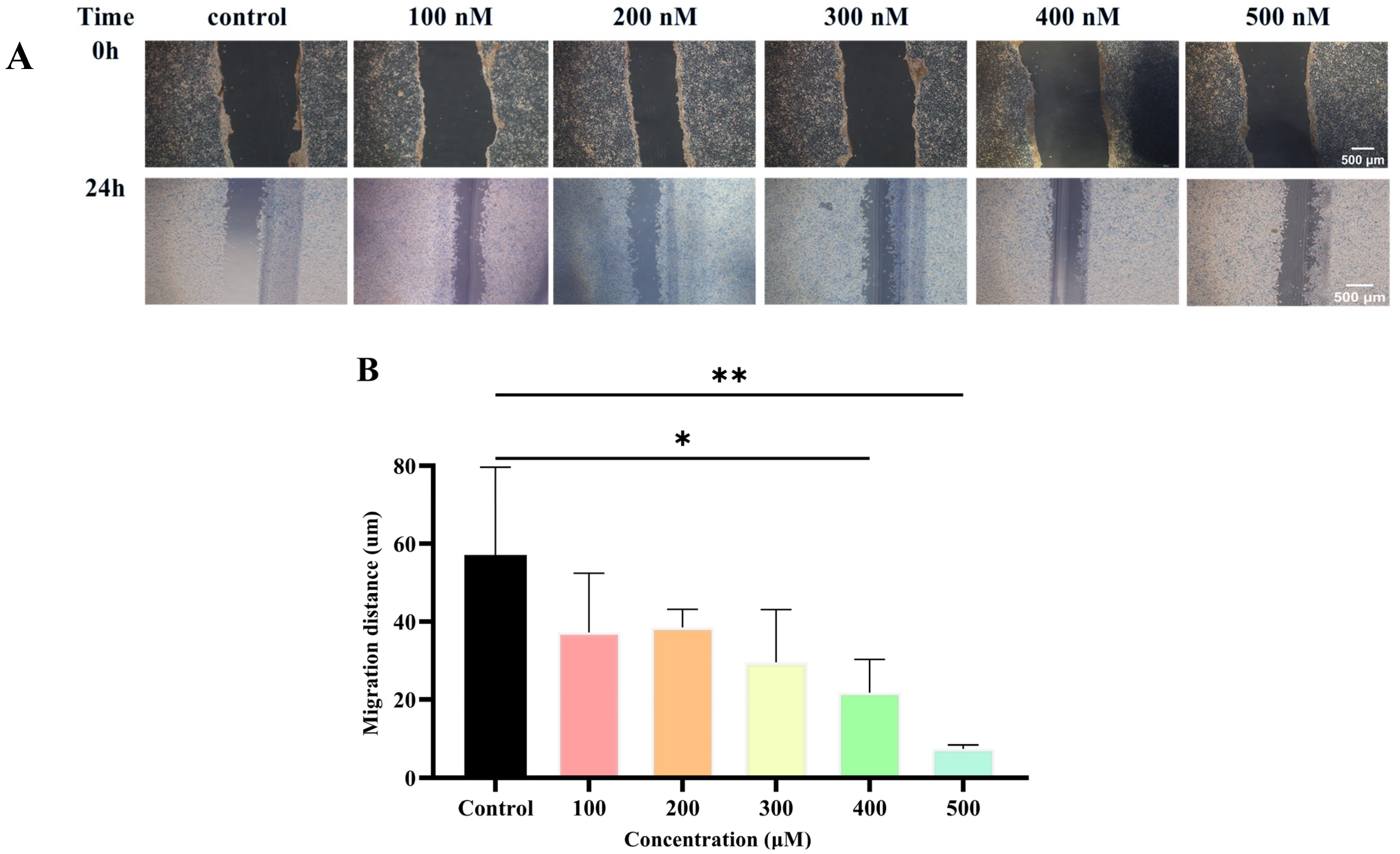 Pharmaceuticals 18 01381 g005