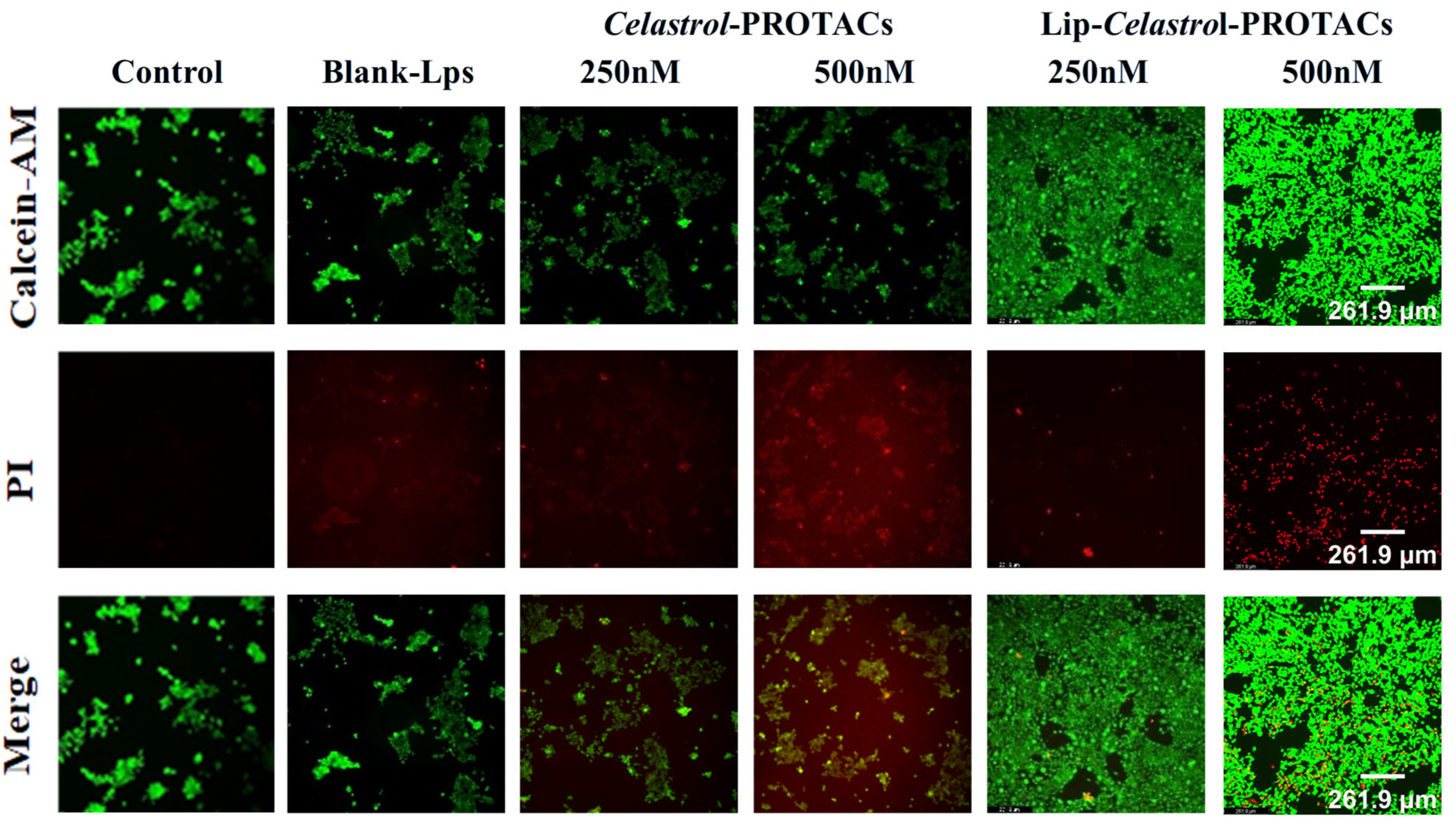 Pharmaceuticals 18 01381 g006