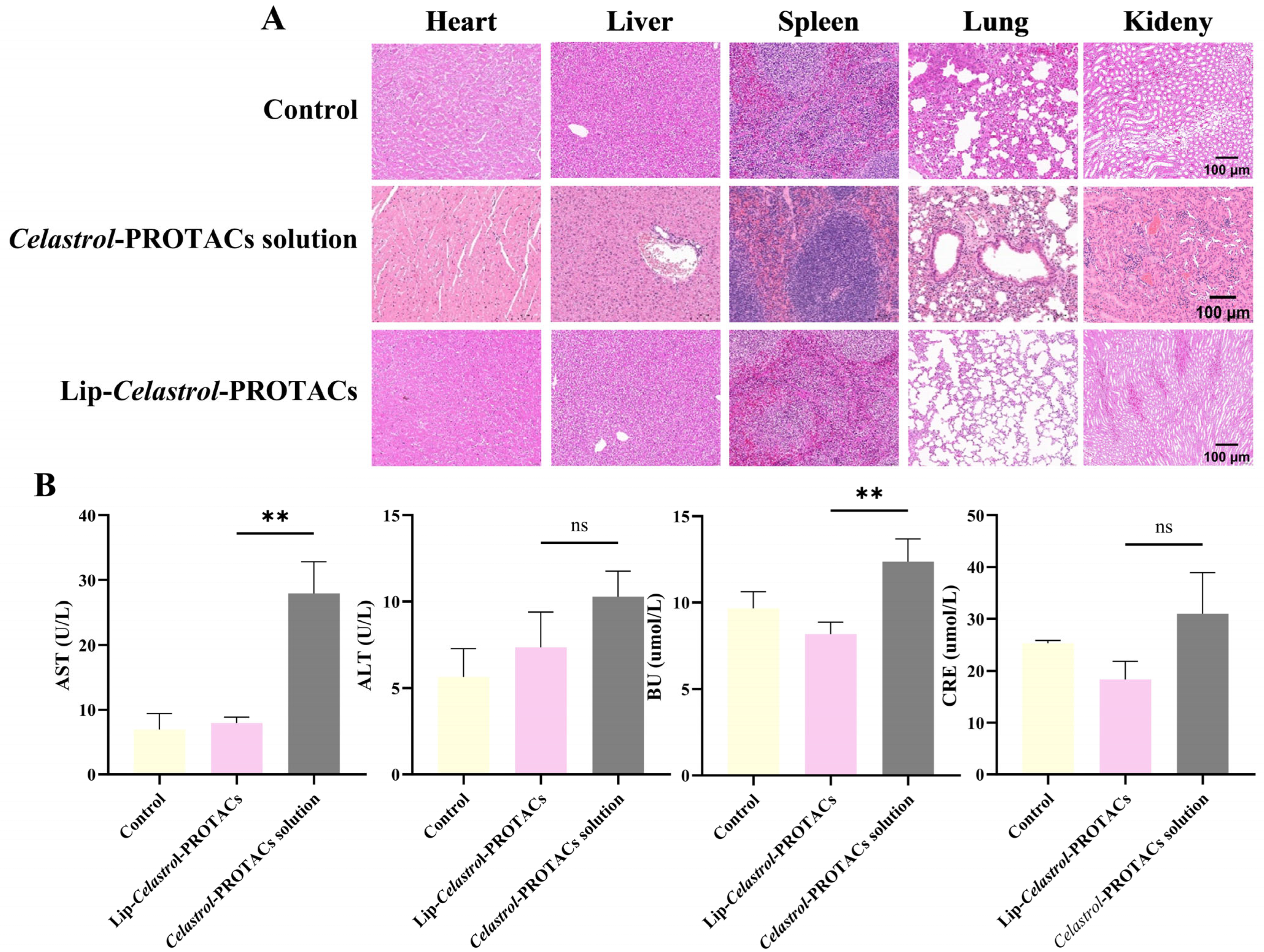 Pharmaceuticals 18 01381 g007
