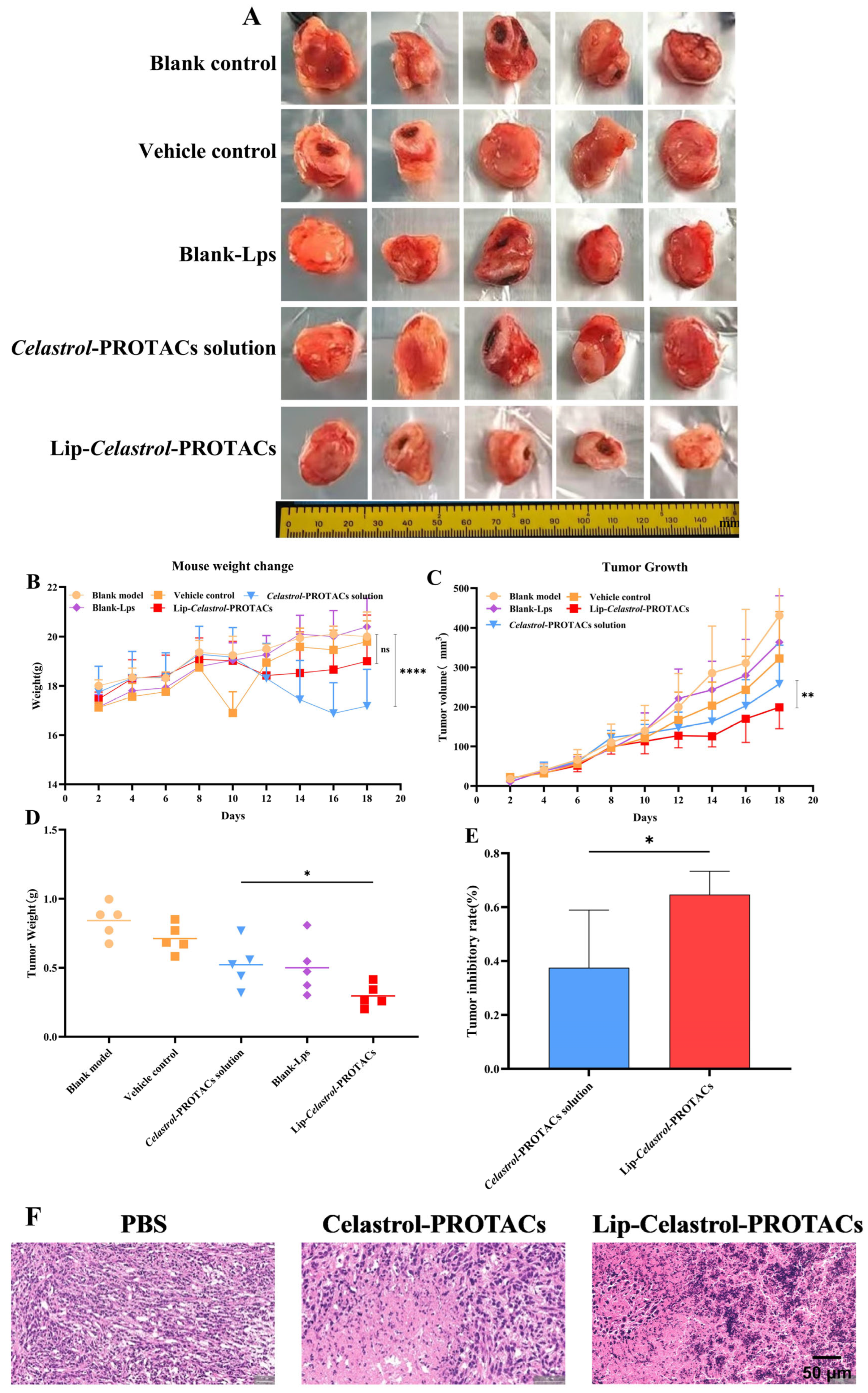 Pharmaceuticals 18 01381 g009