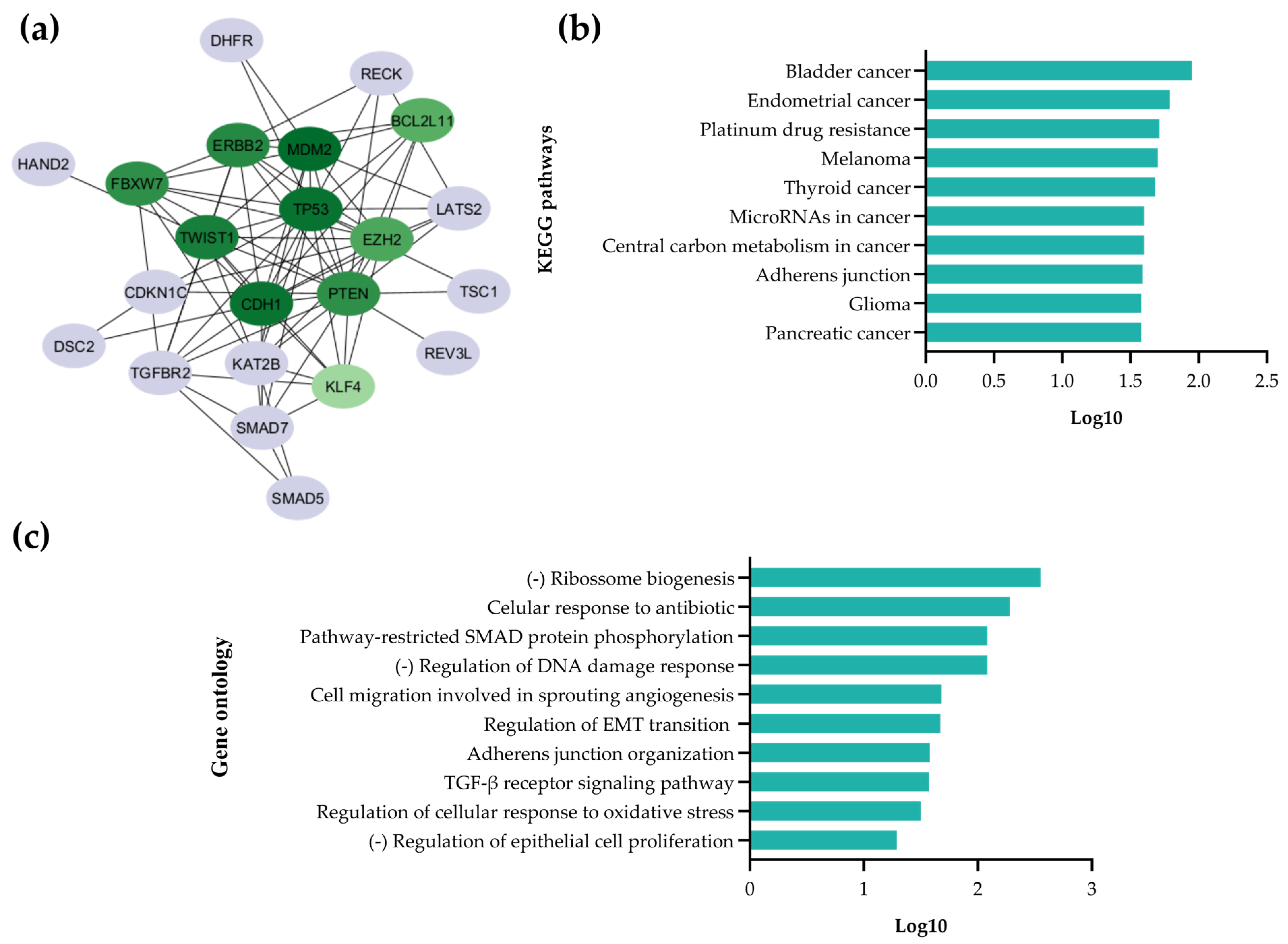 Pharmaceuticals 18 01382 g002