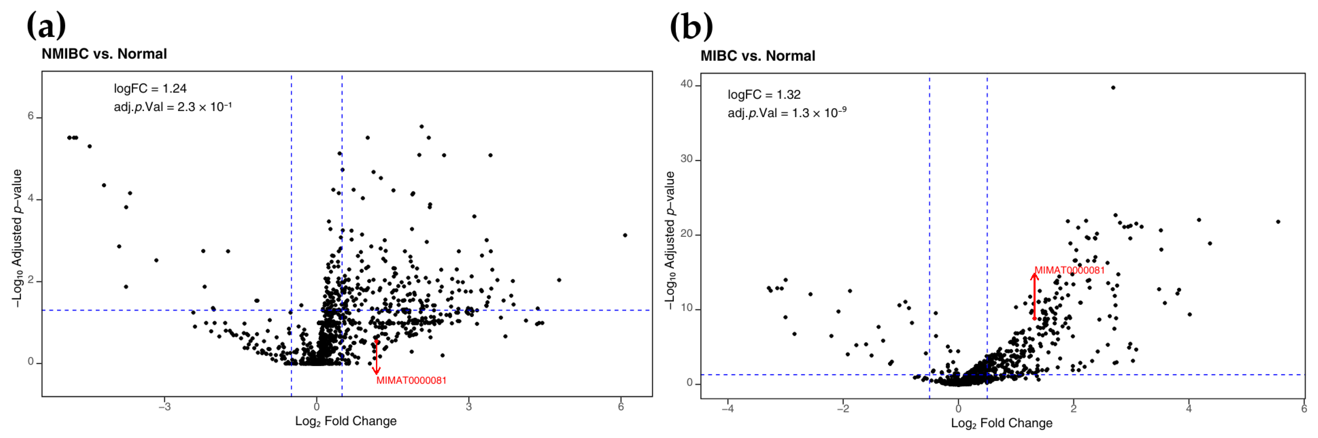Pharmaceuticals 18 01382 g003