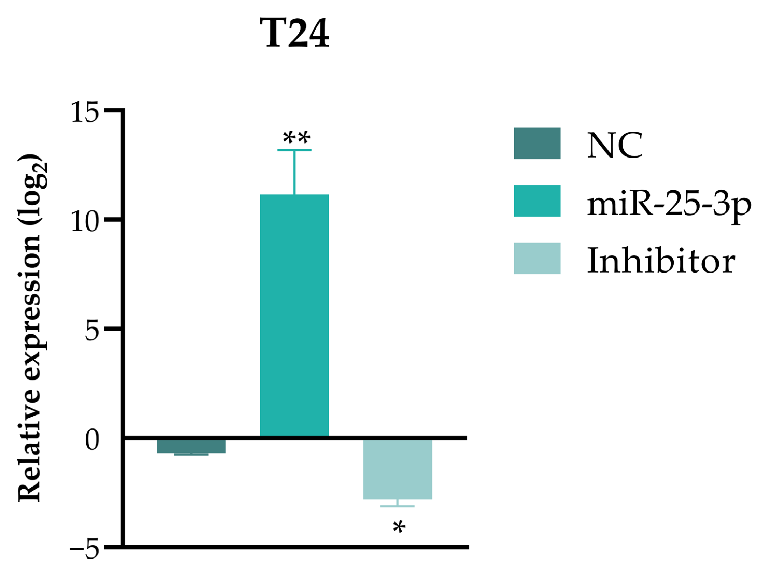 Pharmaceuticals 18 01382 g004