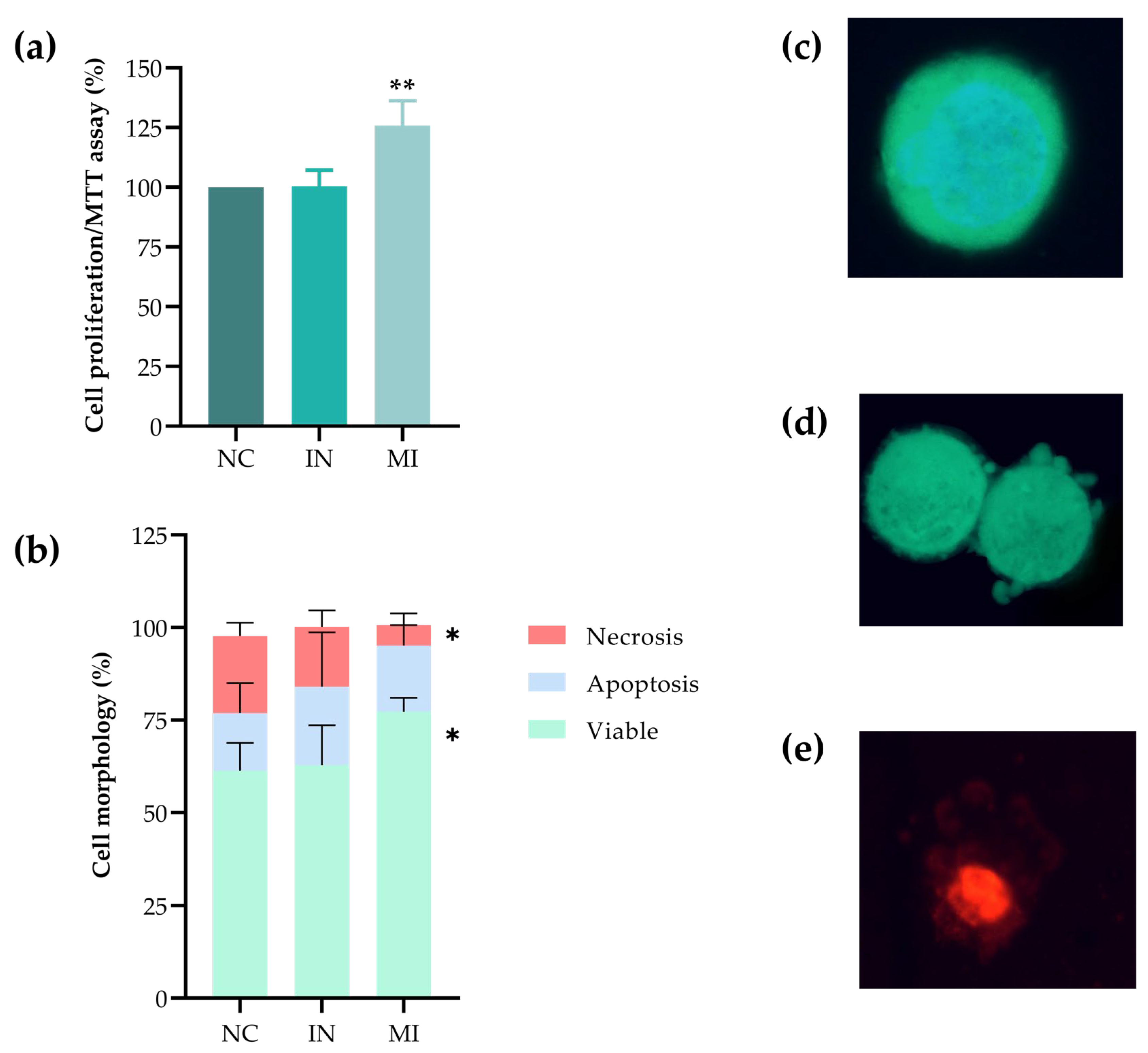Pharmaceuticals 18 01382 g005