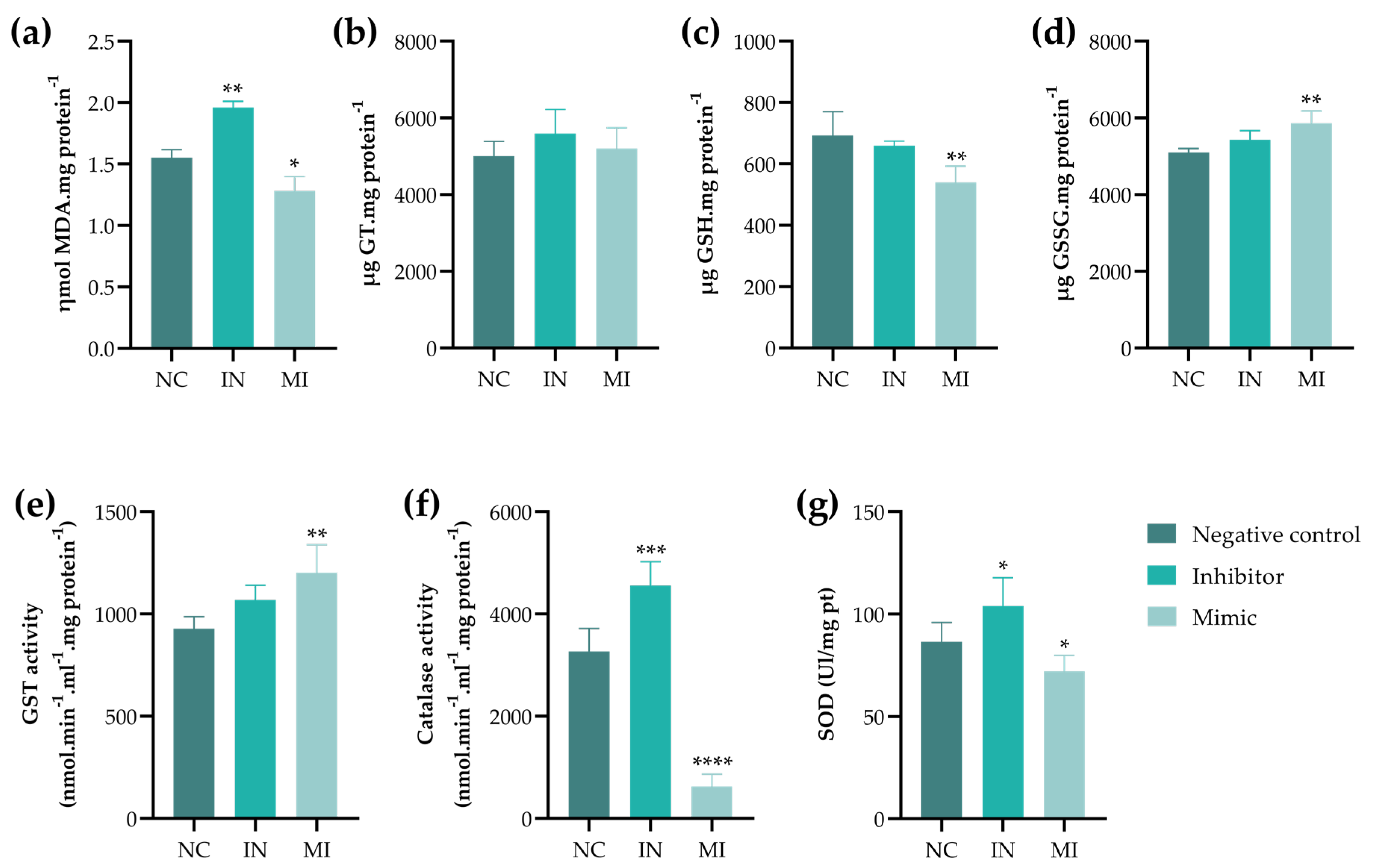Pharmaceuticals 18 01382 g006