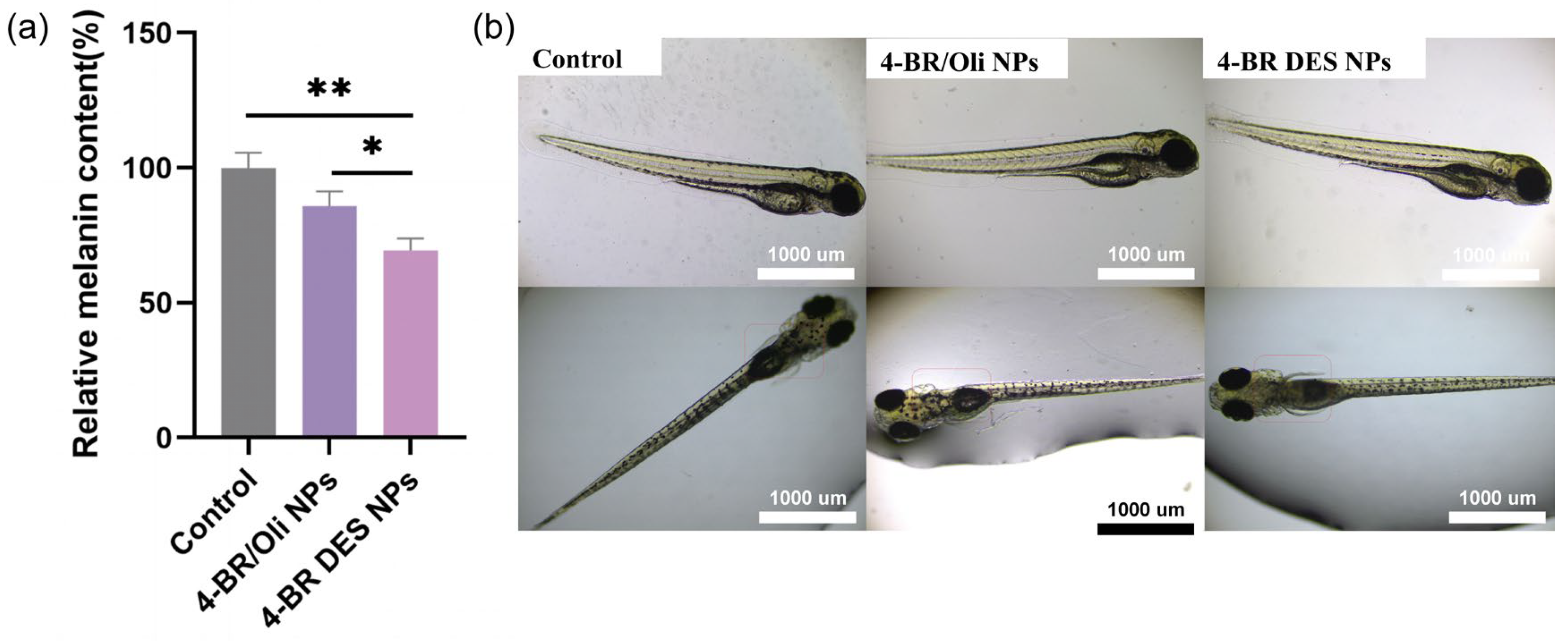 Pharmaceuticals 18 01383 g007