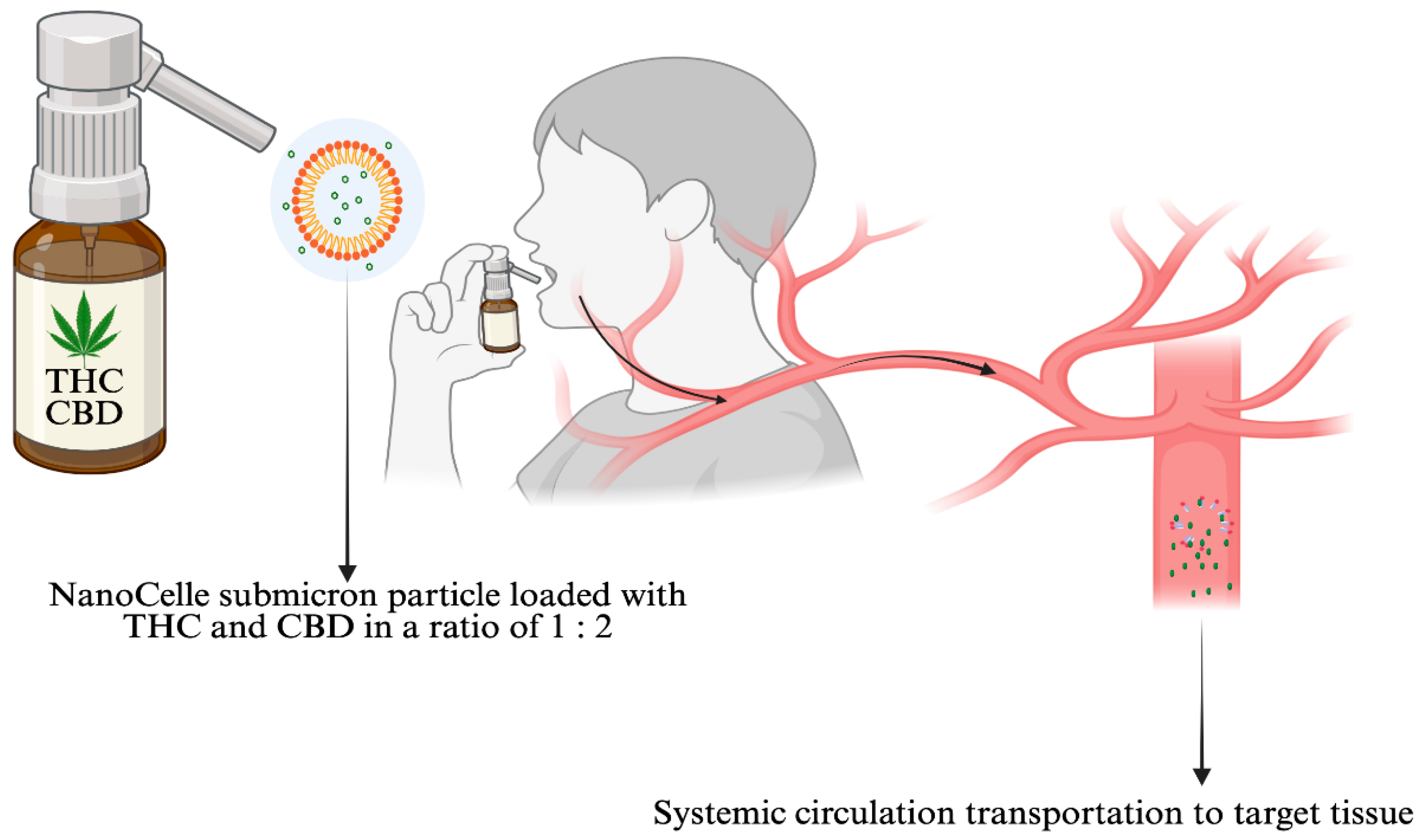 Pharmaceuticals 18 01385 g002