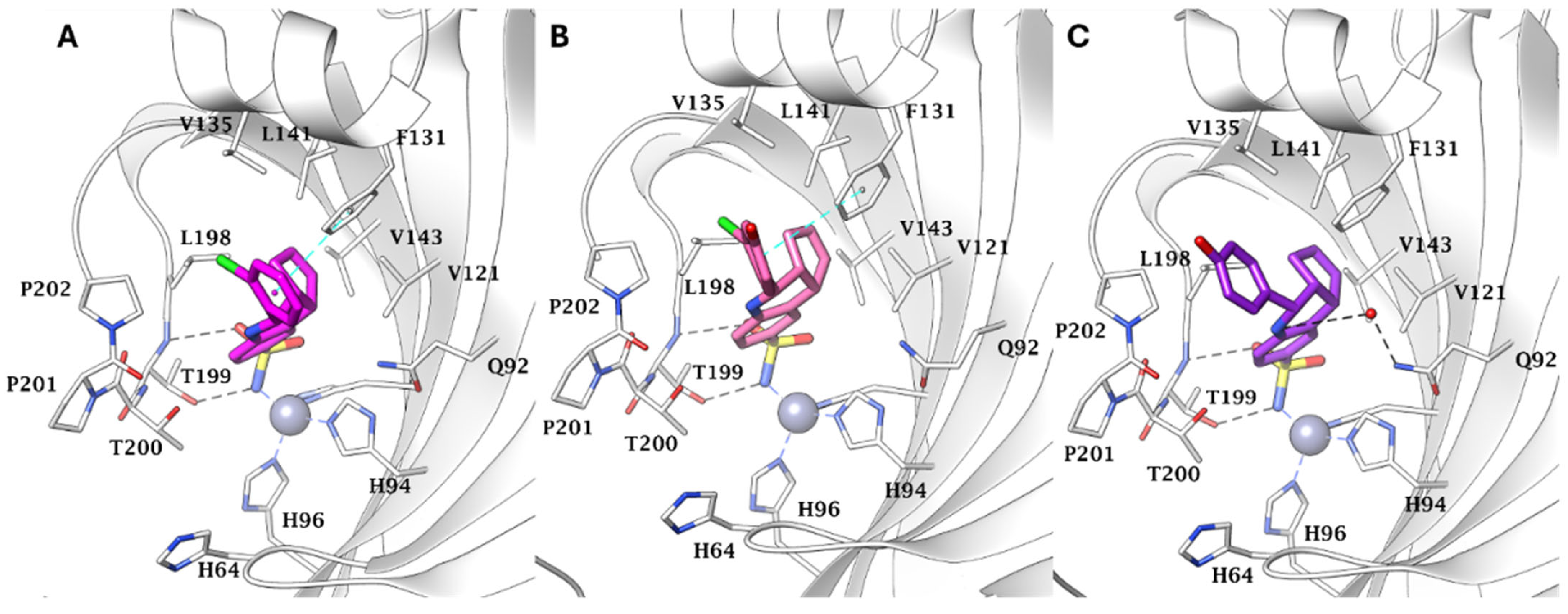 Pharmaceuticals 18 01387 g001