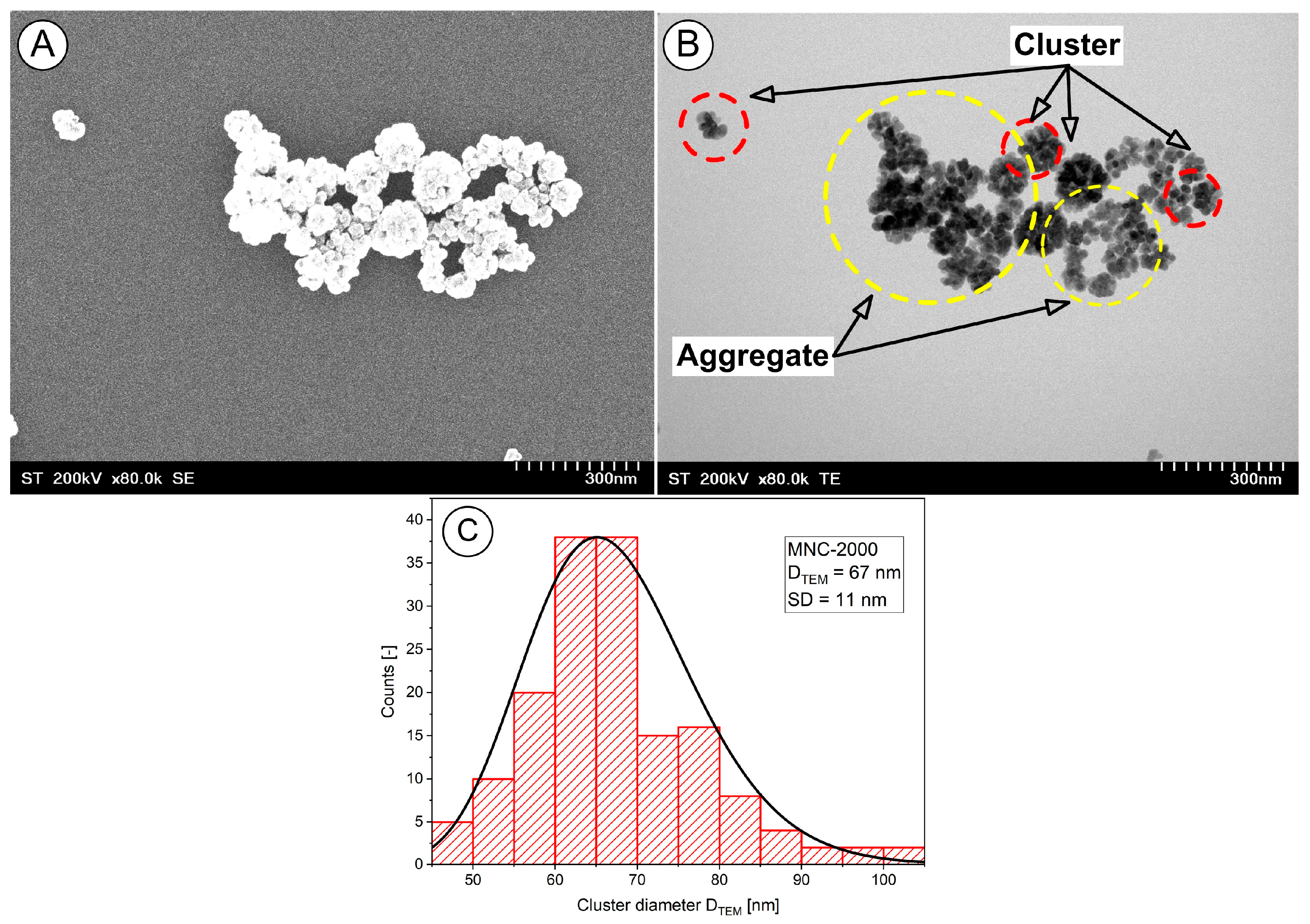 Pharmaceuticals 18 01394 g002