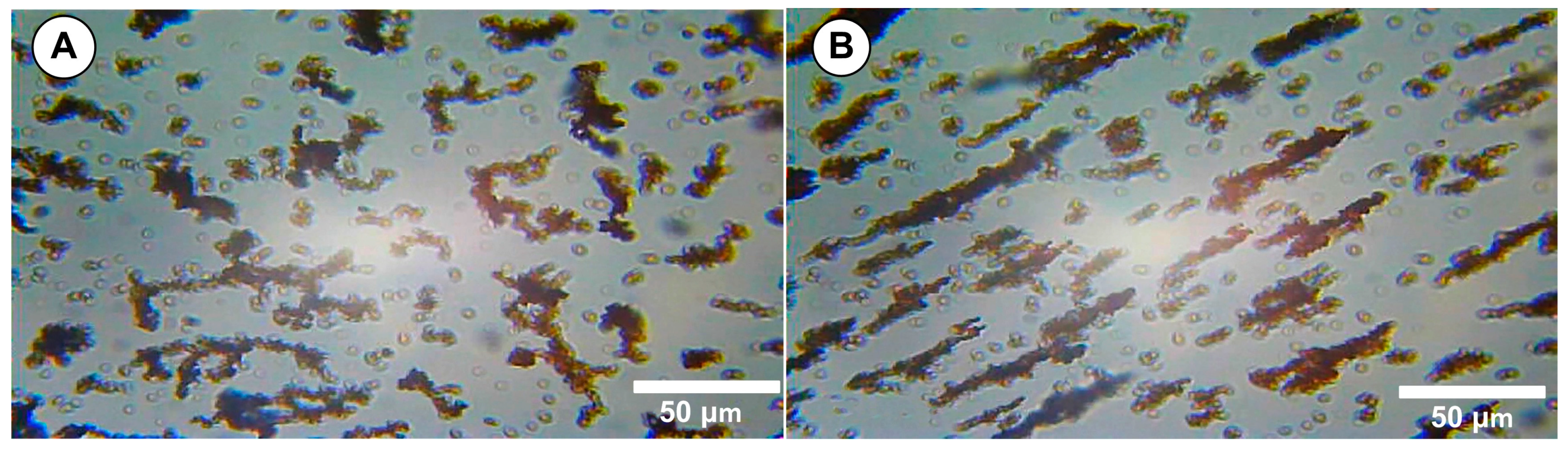 Pharmaceuticals 18 01394 g005