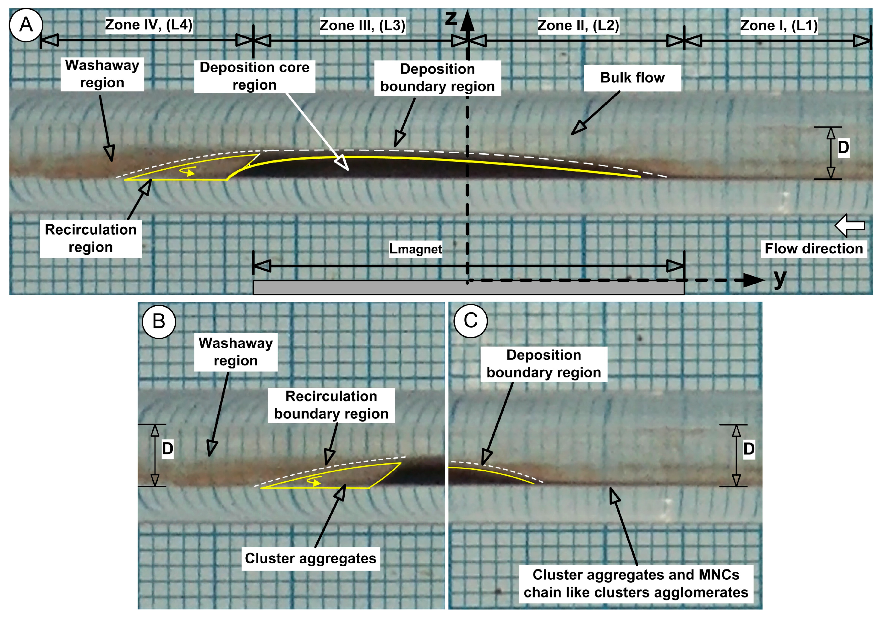 Pharmaceuticals 18 01394 g006