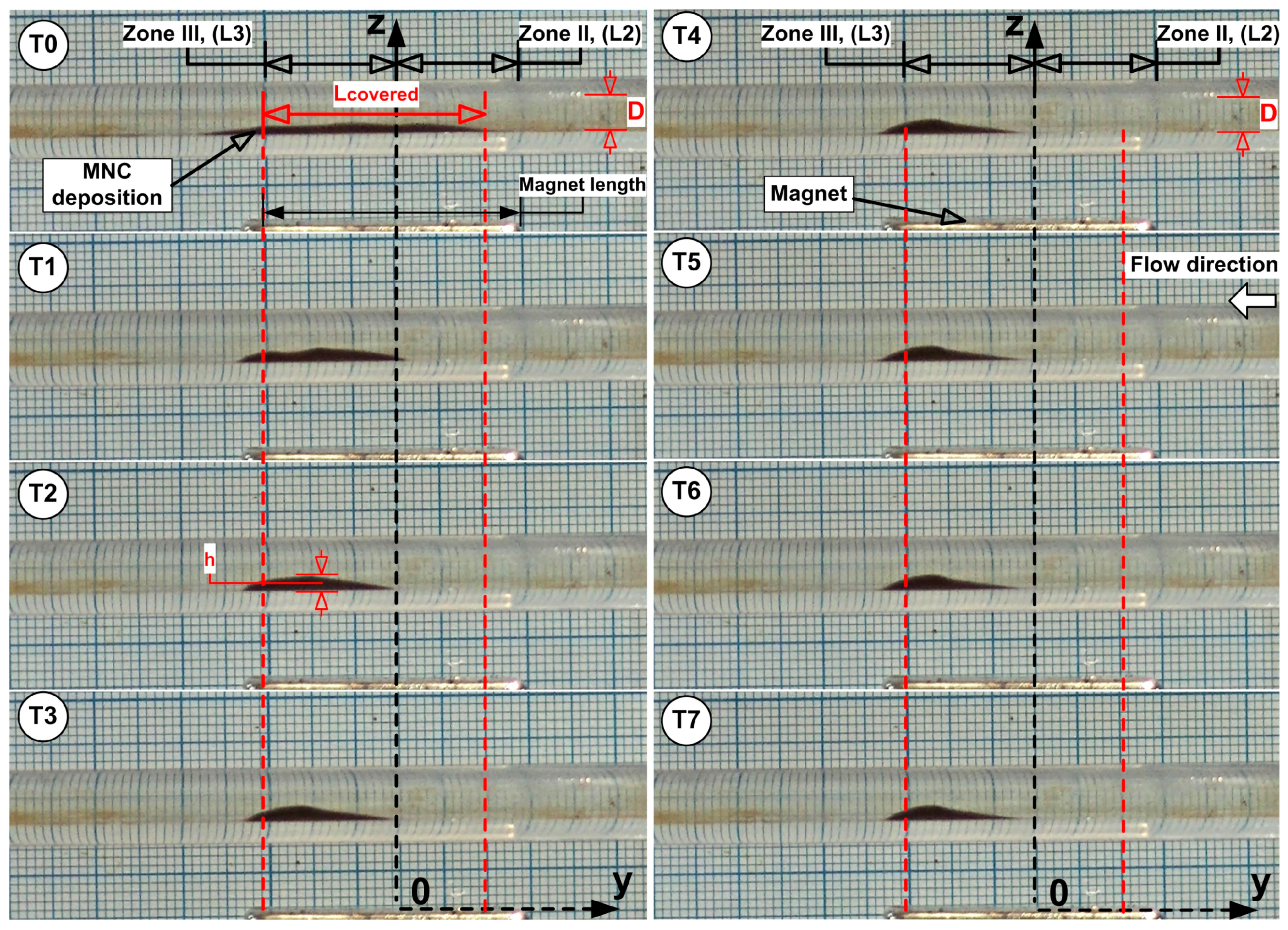 Pharmaceuticals 18 01394 g007