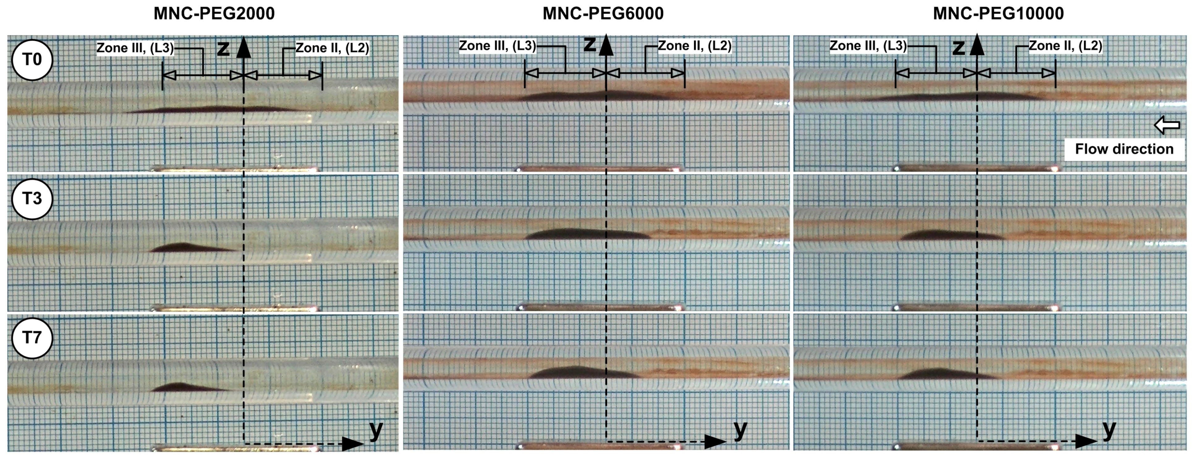 Pharmaceuticals 18 01394 g010
