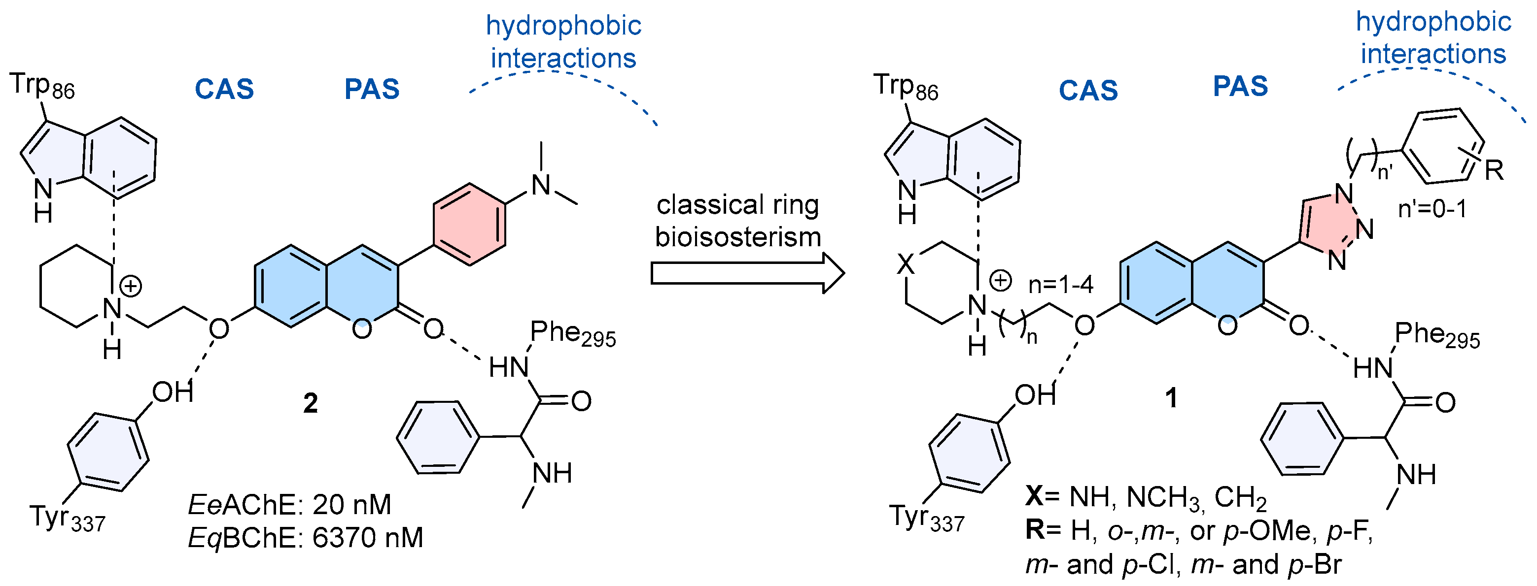 Pharmaceuticals 18 01398 g001 Pharmaceuticals 18 01398 g001