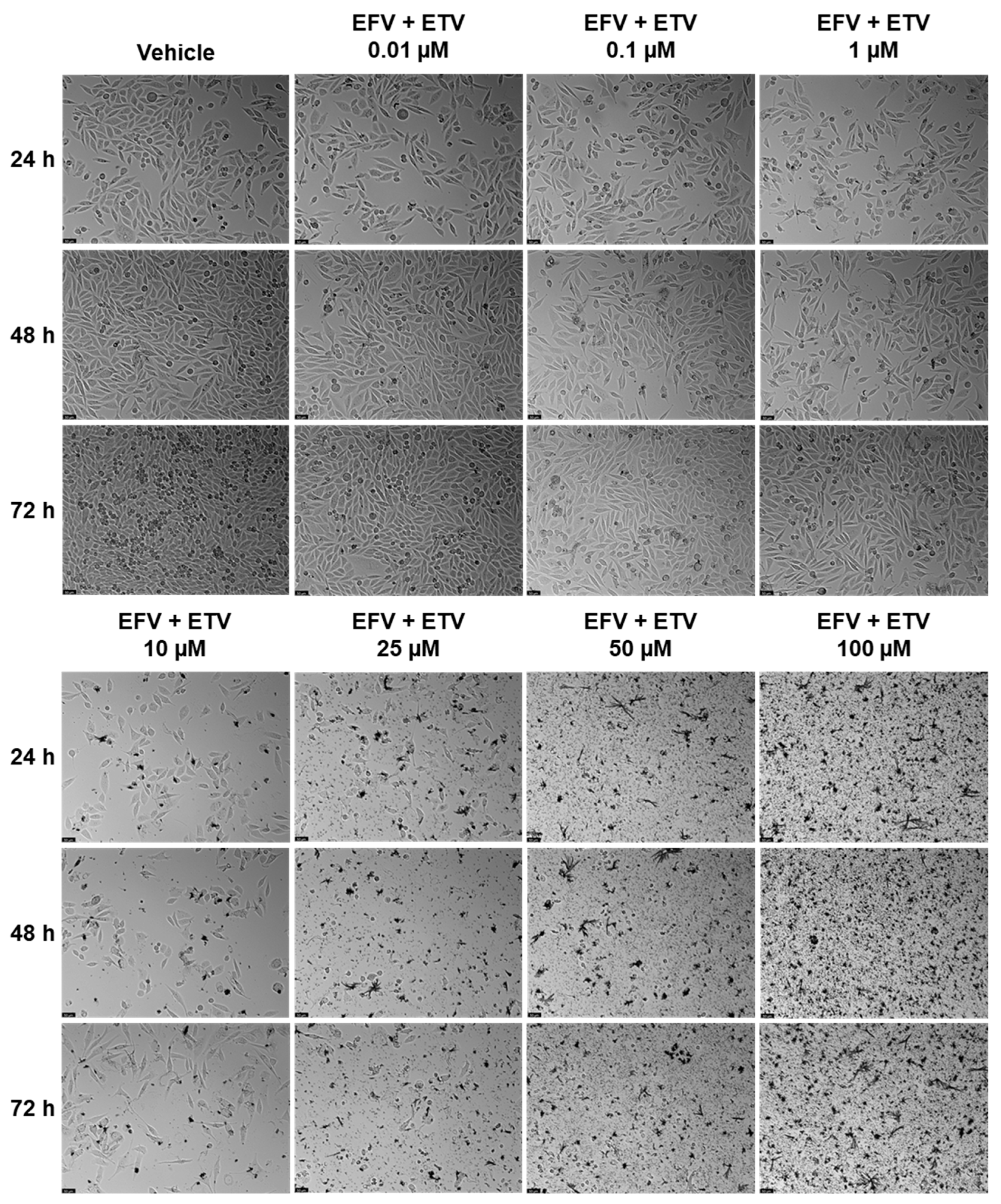 Pharmaceuticals 18 01404 g010