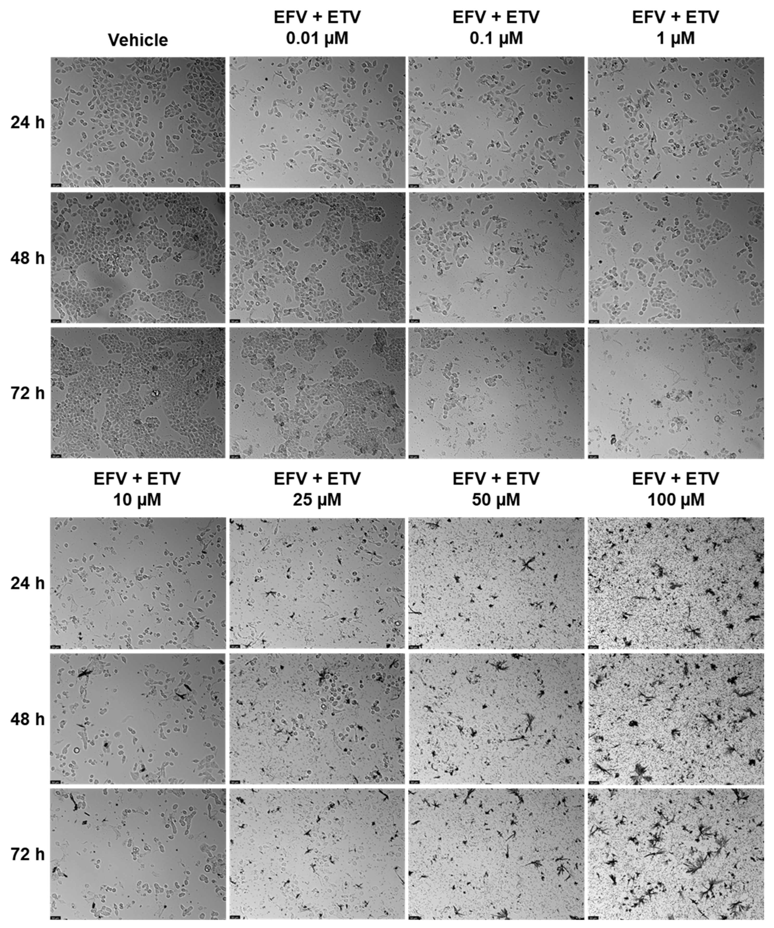 Pharmaceuticals 18 01404 g011