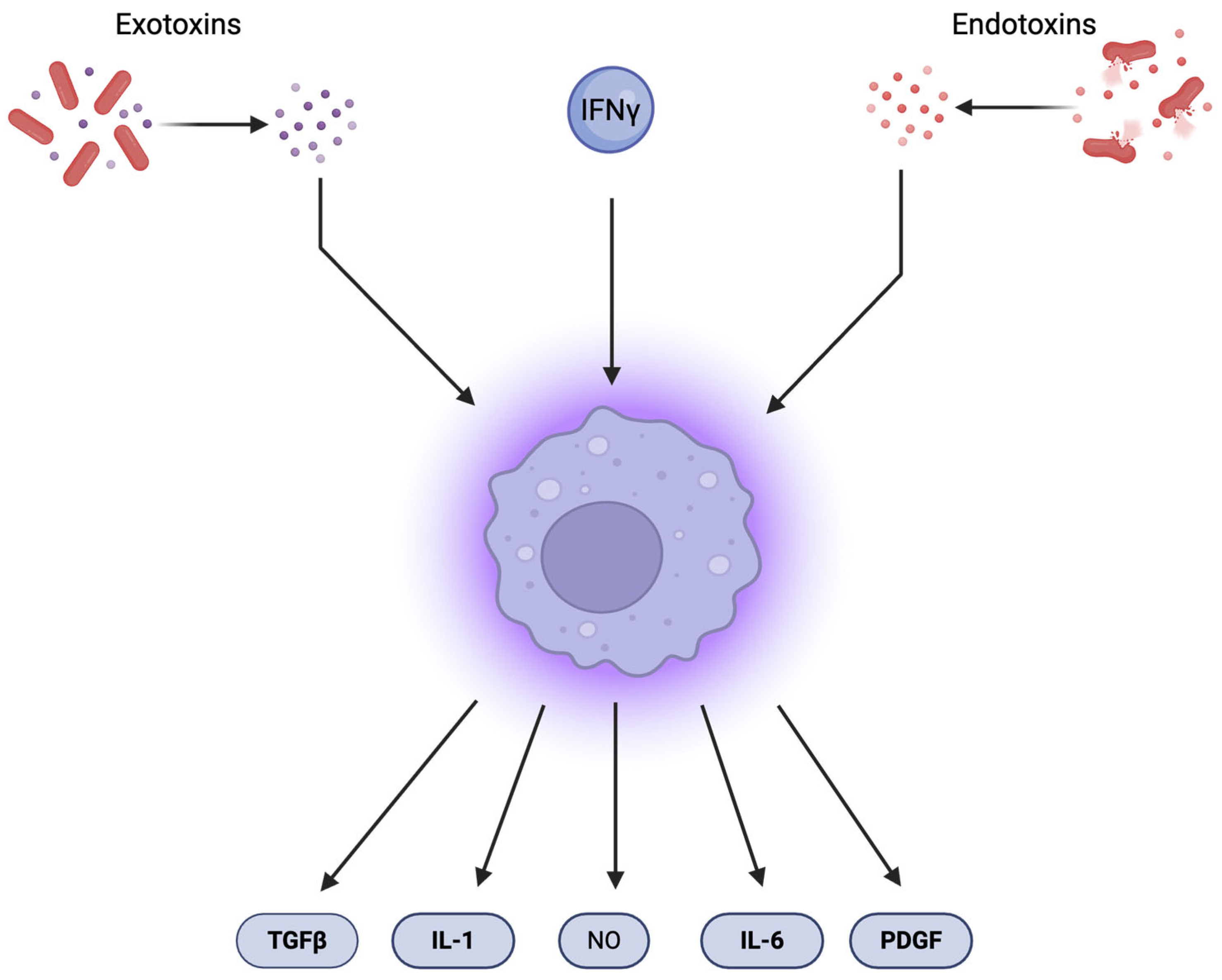 Pharmaceuticals 18 01406 g001