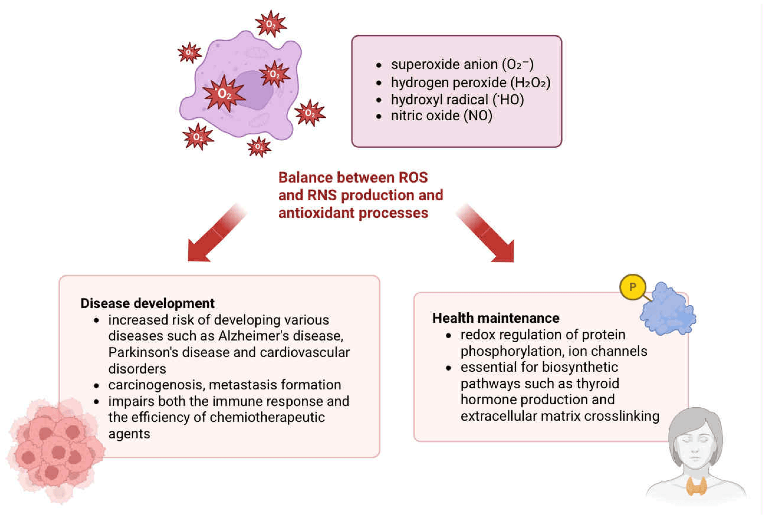 Pharmaceuticals 18 01406 g002