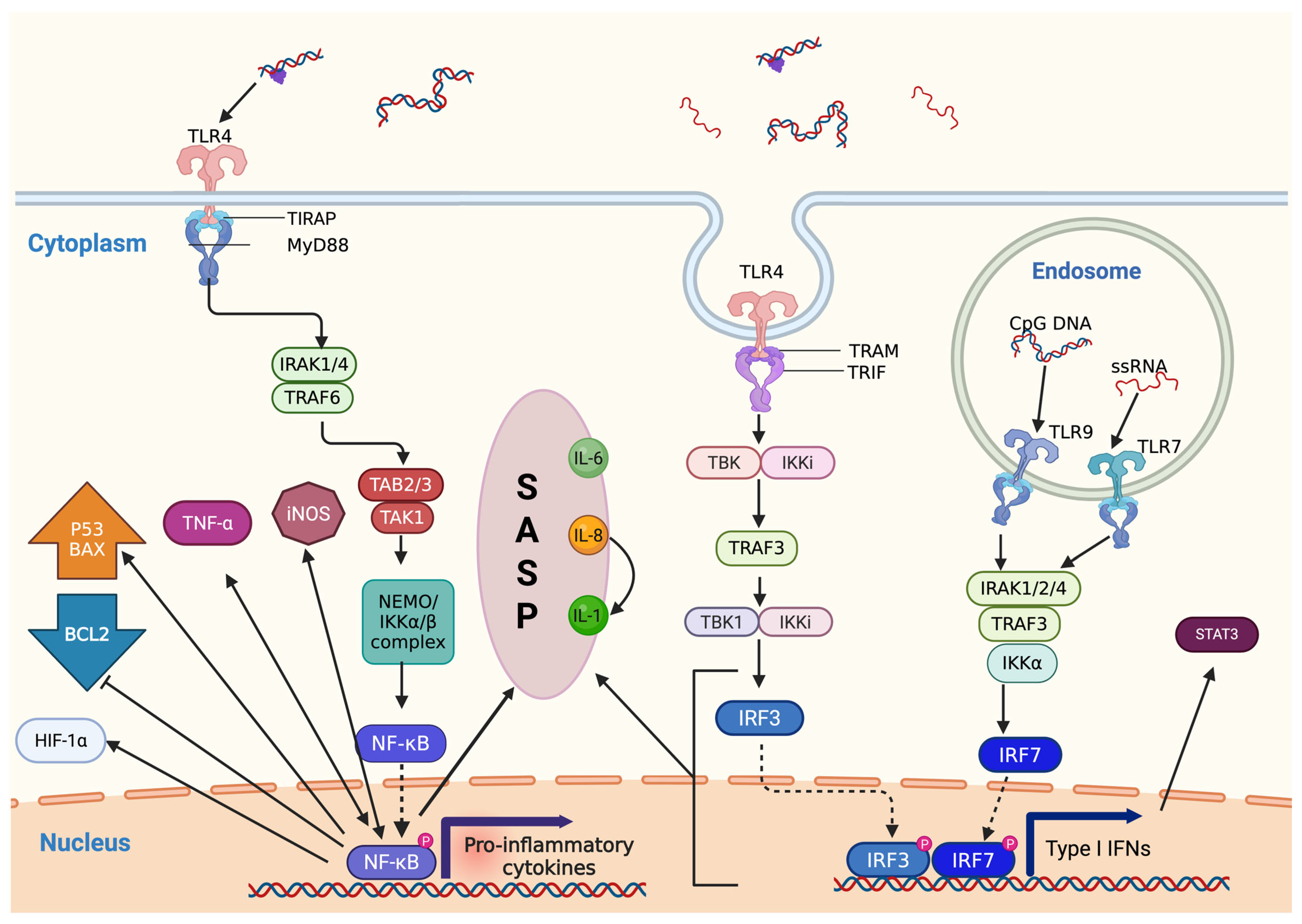 Pharmaceuticals 18 01406 g004