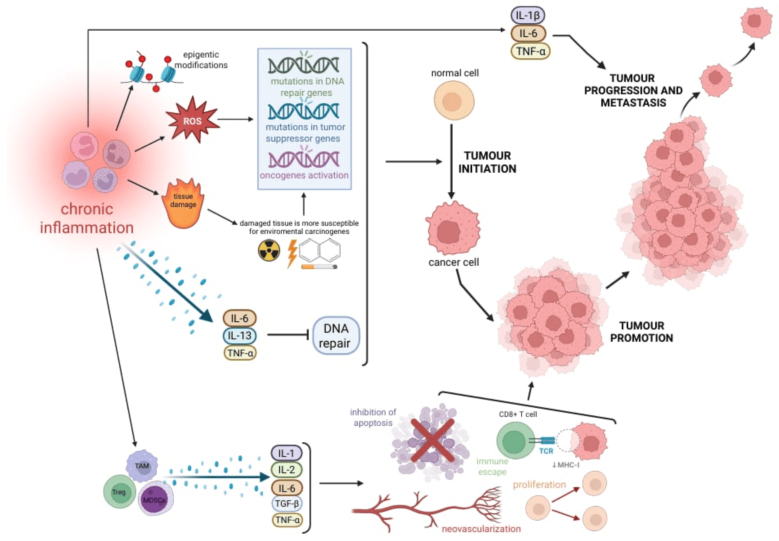 Pharmaceuticals 18 01406 g005