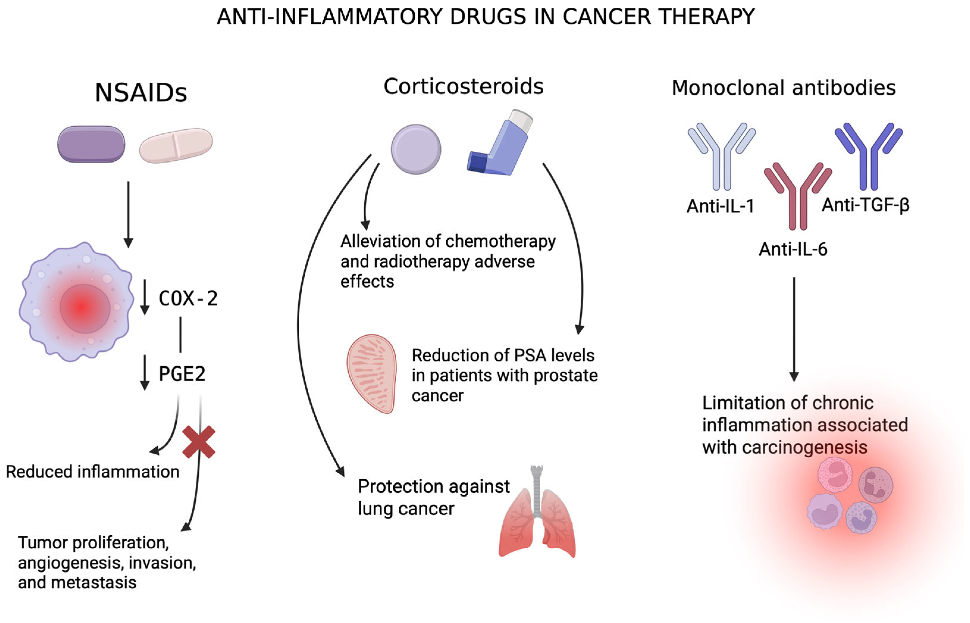 Pharmaceuticals 18 01406 g006