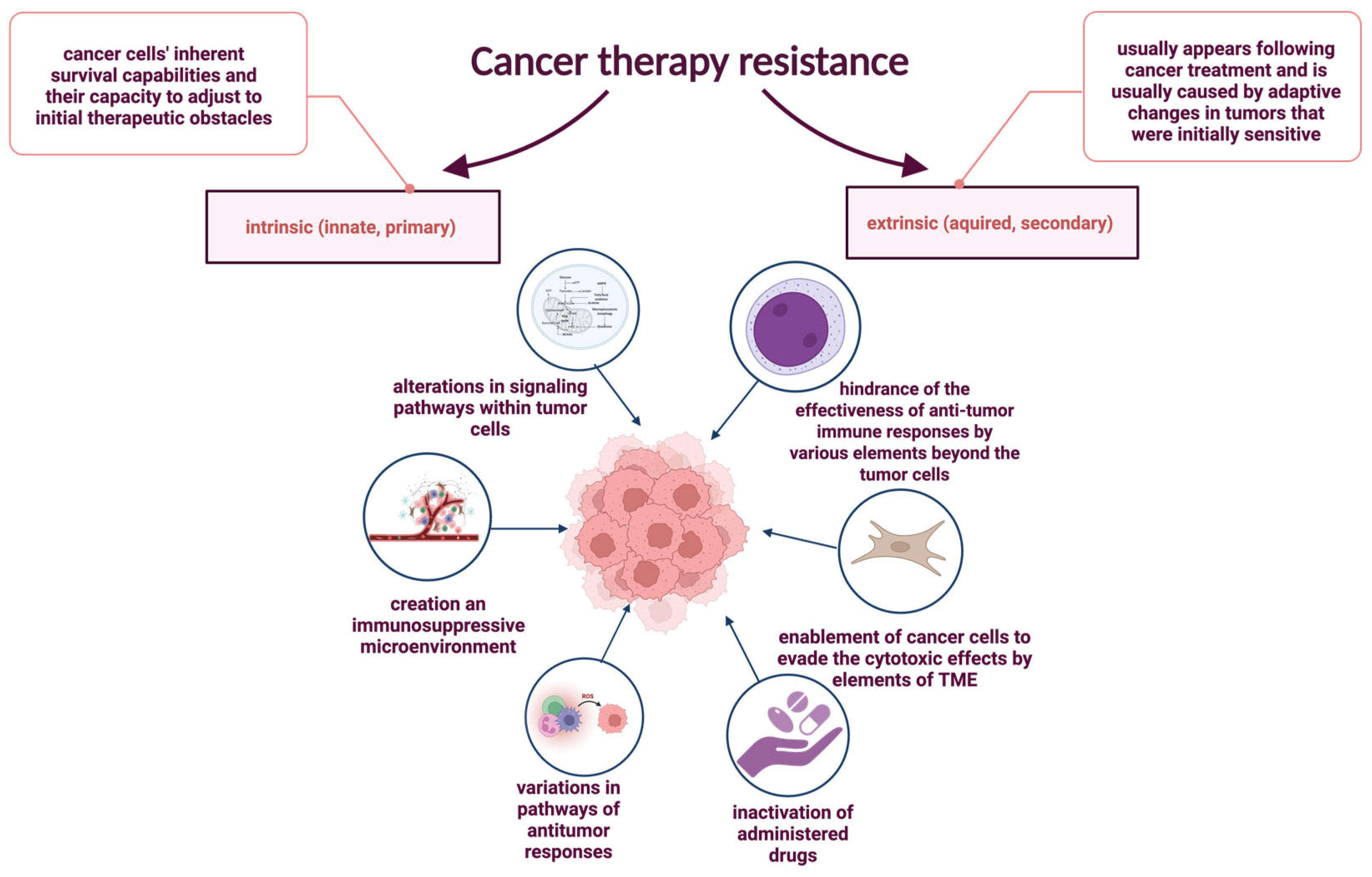 Pharmaceuticals 18 01406 g007